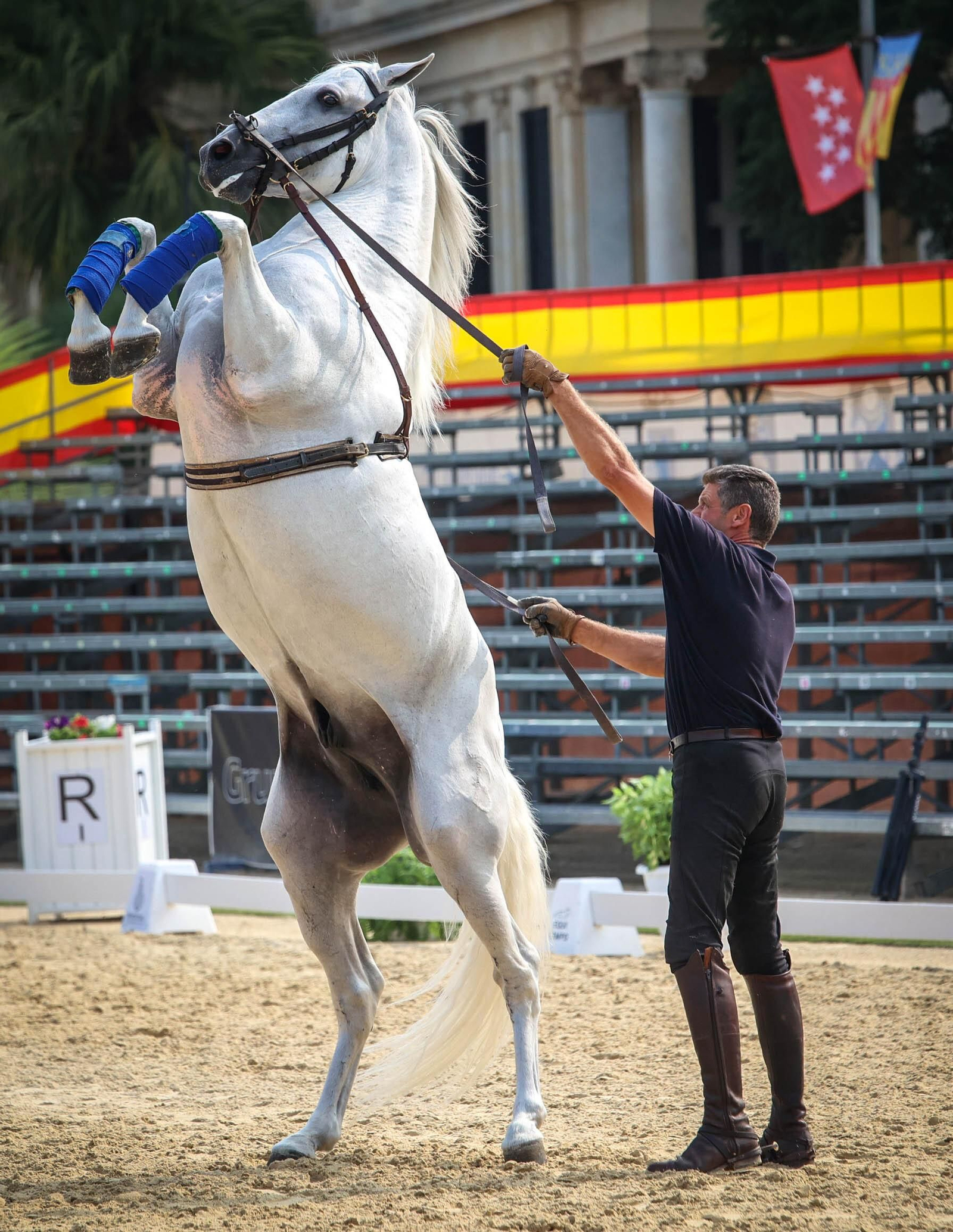 Ensayos para la Gala V Escuelas en Jerez