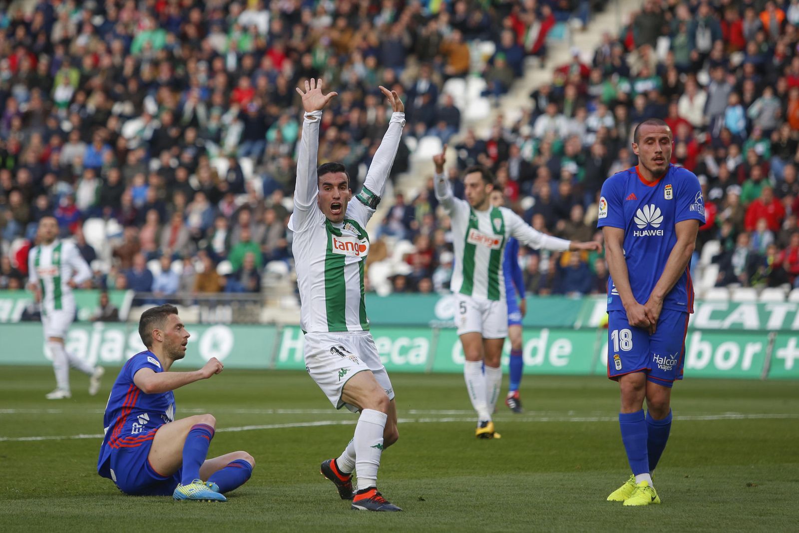 Las imágenes del Córdoba-Oviedo