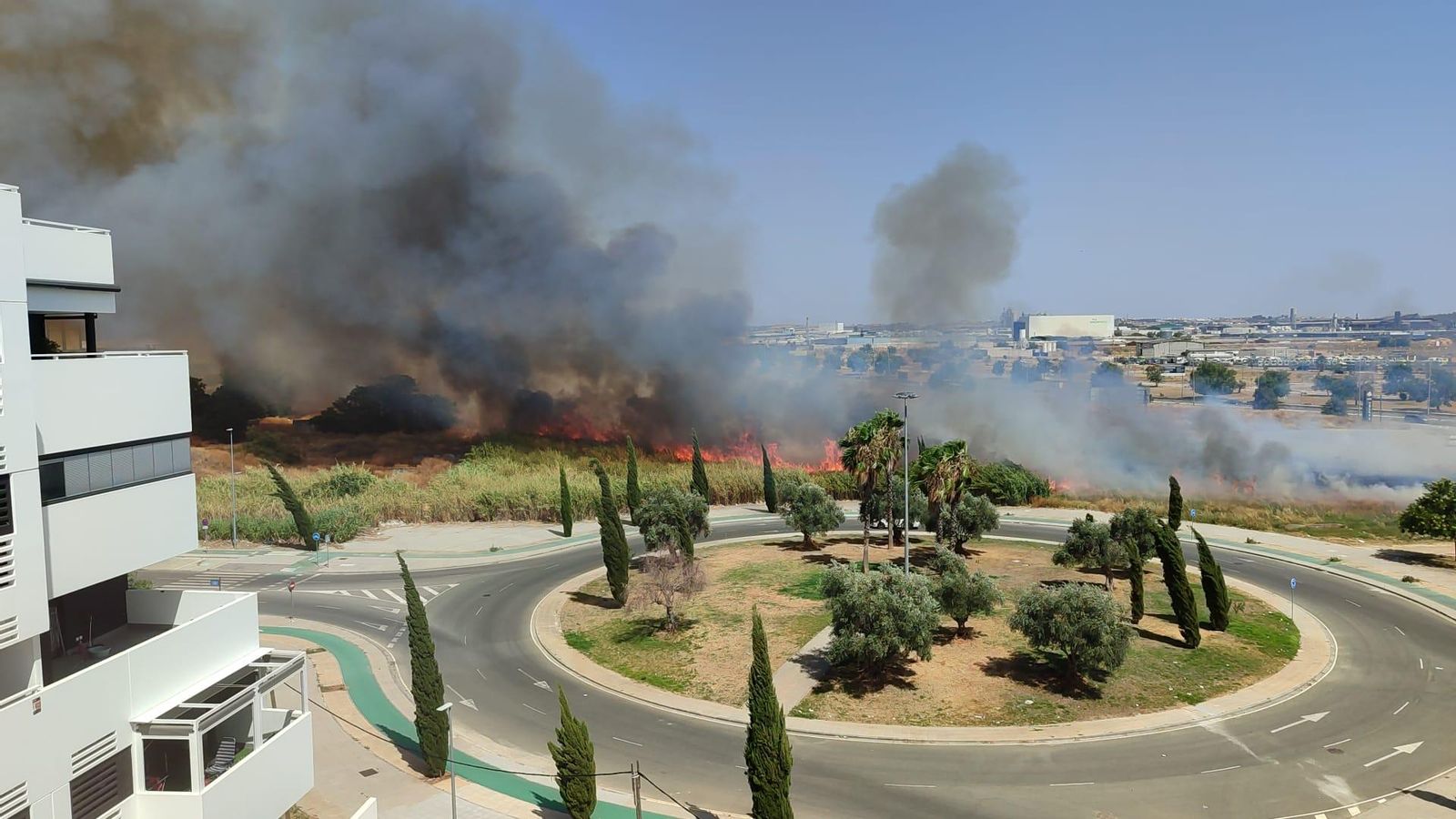 El incendio de la vegetación próxima a la Hacienda Rosario.