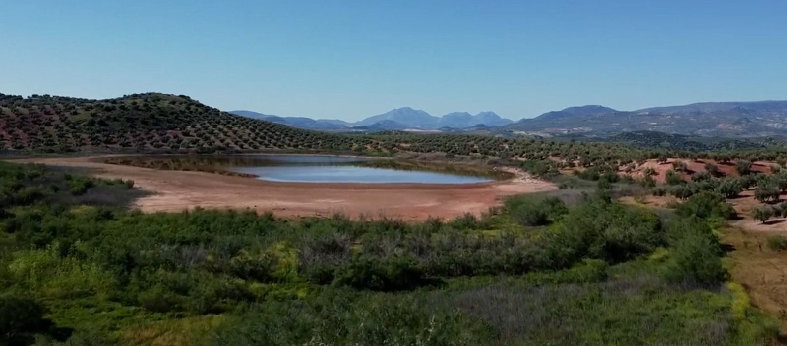 El tráiler 'Islas de vida': una apuesta por el valor de los humedales