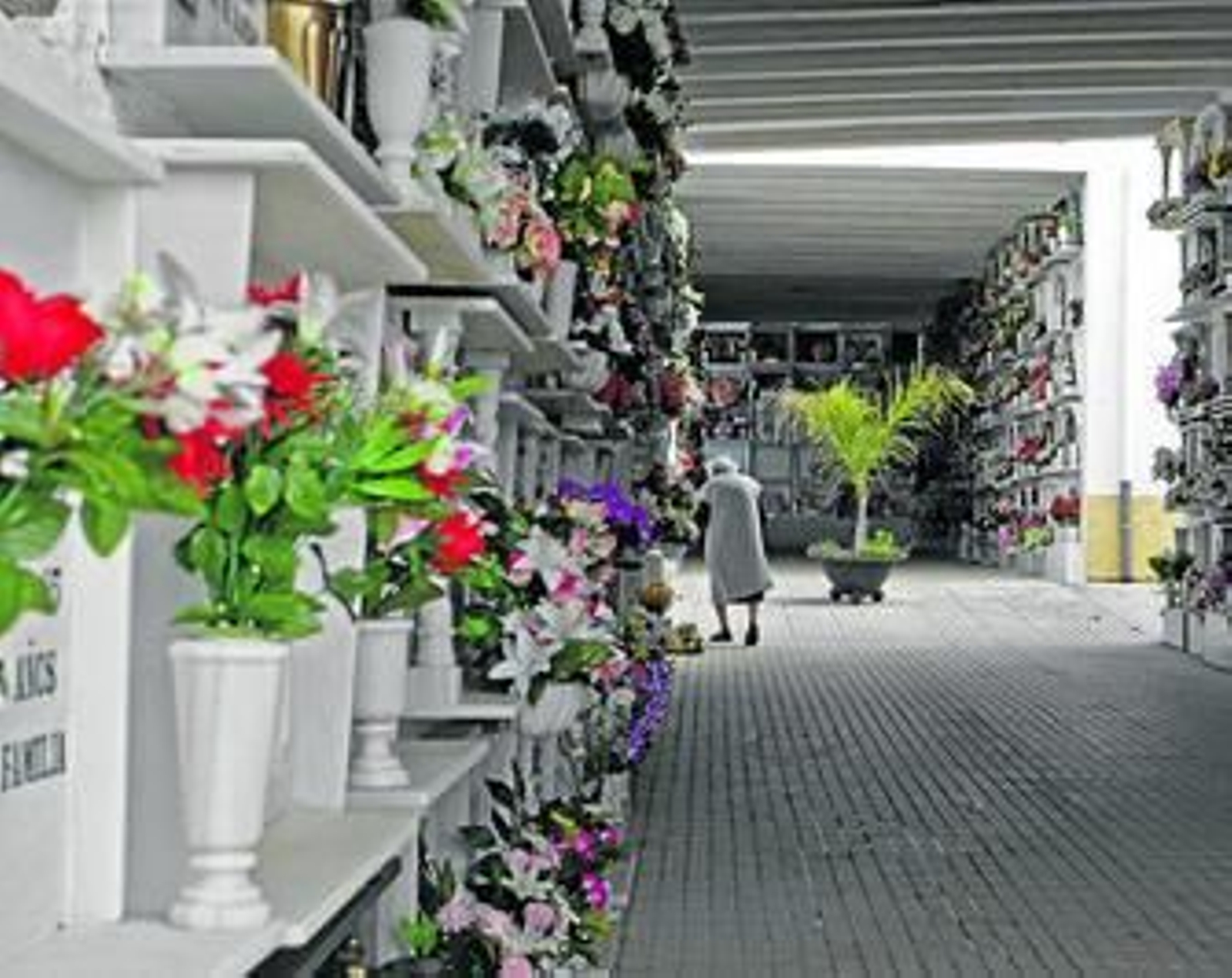 Interior del cementerio barreño, ayer por la tarde.