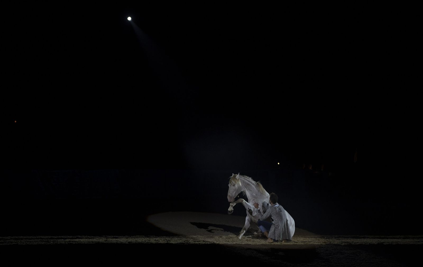 El espectáculo del SICAB 2019, en imágenes