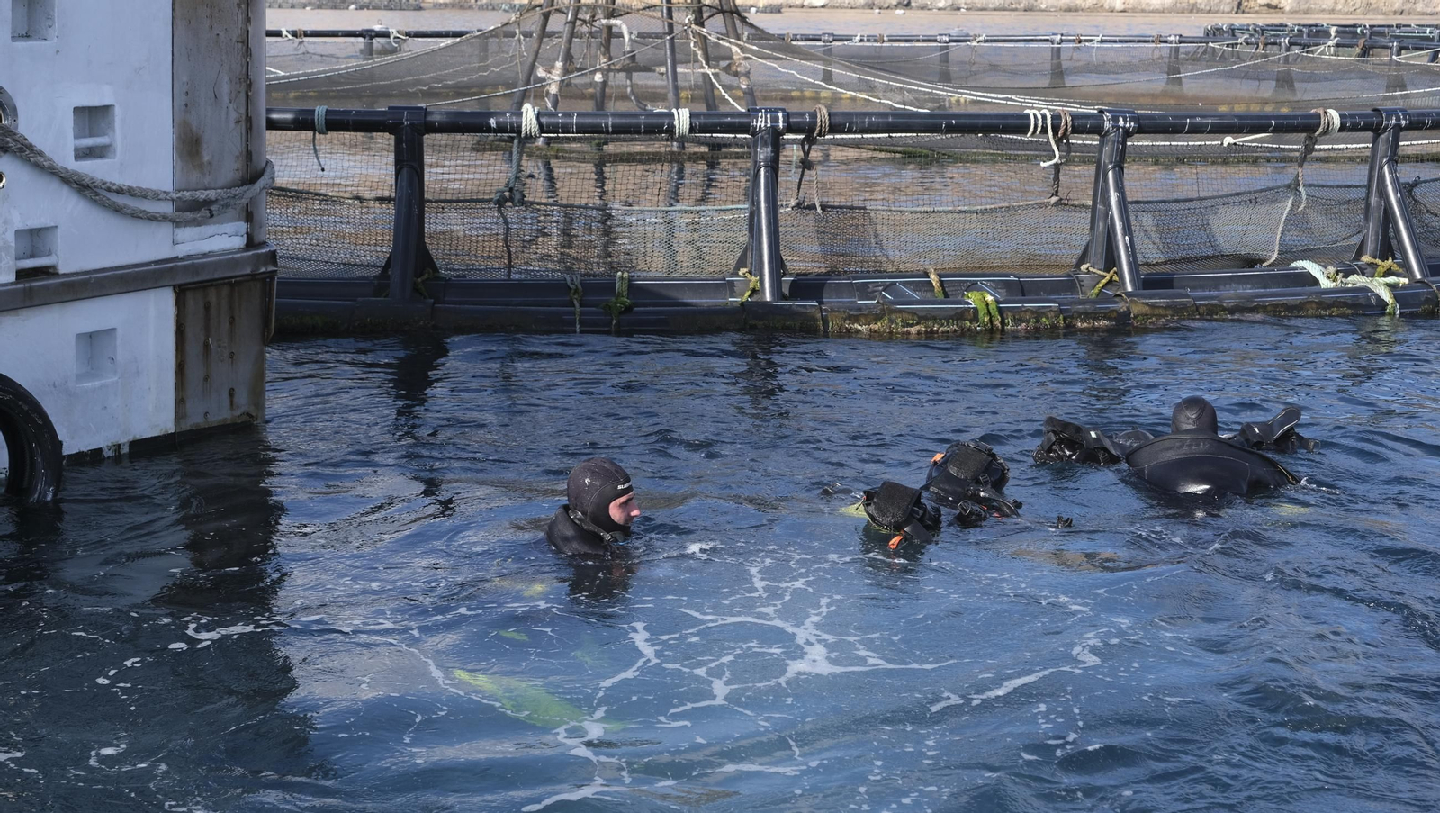 La piscifactoría de El Cañarete, en imágenes