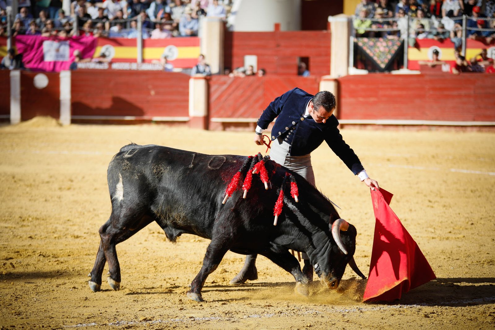Imágenes del festival mixto lucha contra el cáncer