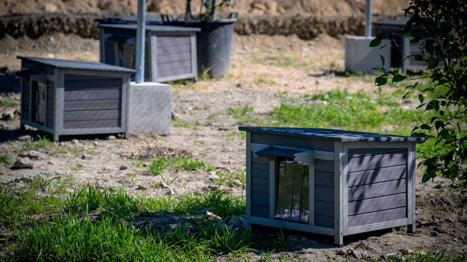Varias gateras, ya colocada en el nuevo recinto junto al tanatorio de Servisa en el que van a instalar a los gatos del antiguo cementerio de Cádiz.