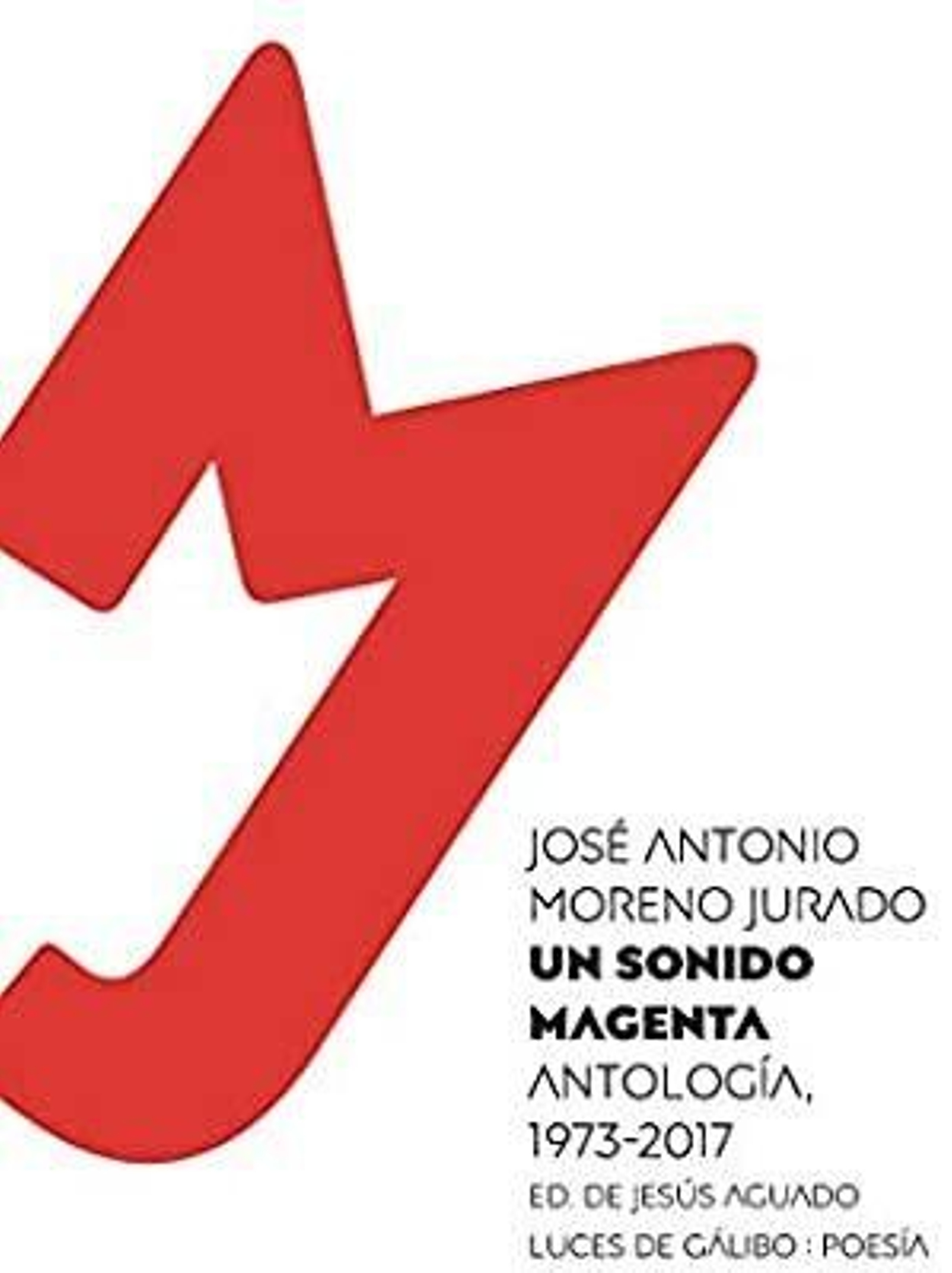 Portada de 'Un sonido magenta'.