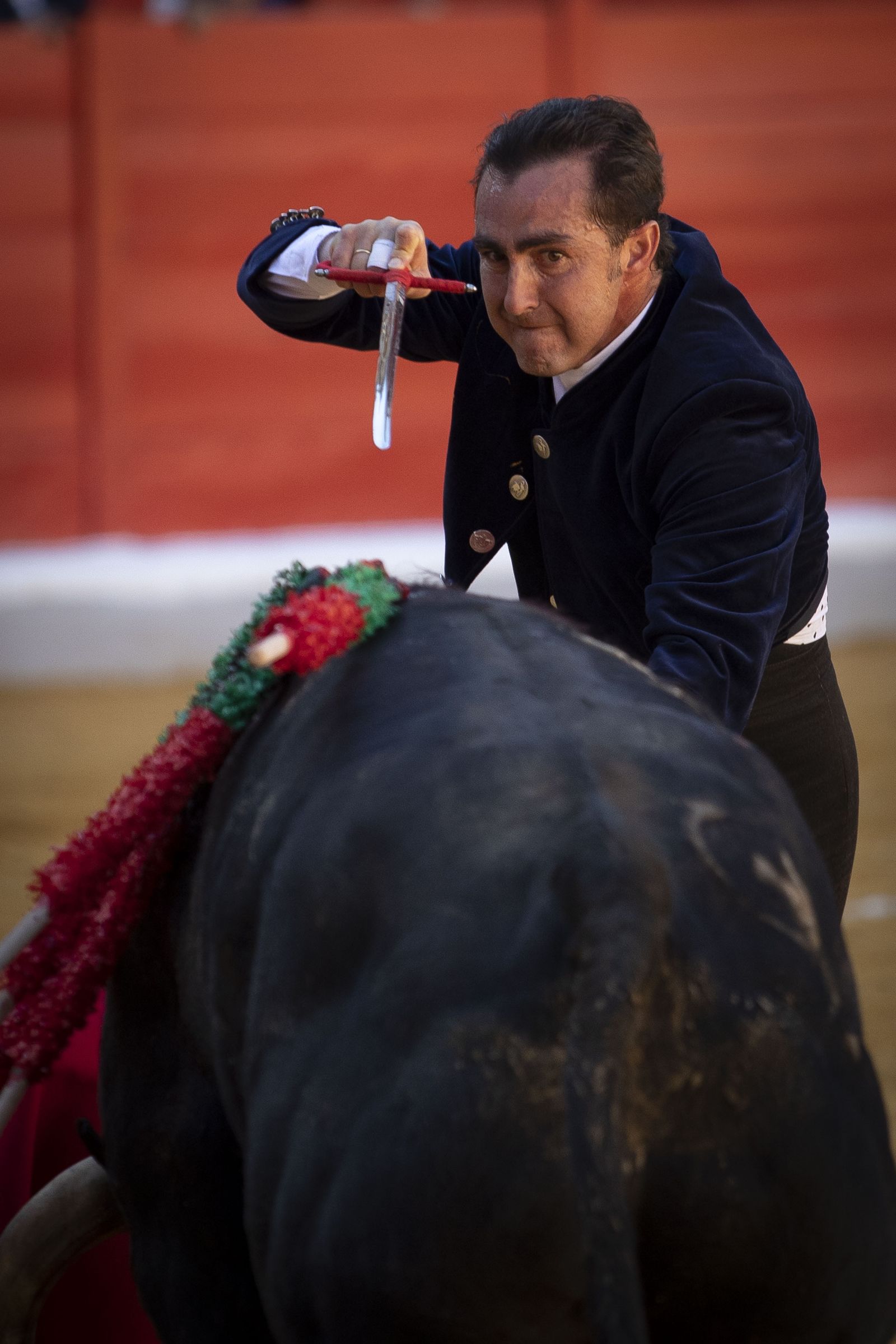Las mejores imágenes del Festival Taurino en beneficio de Granadadown