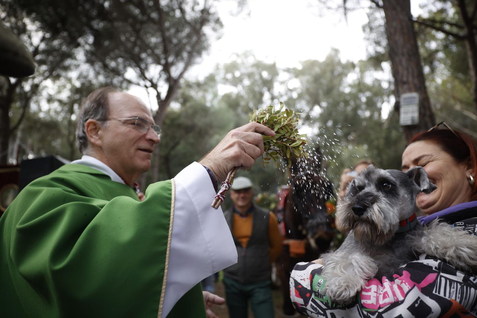 Las imágenes de la festividad de San Antón en El Puerto
