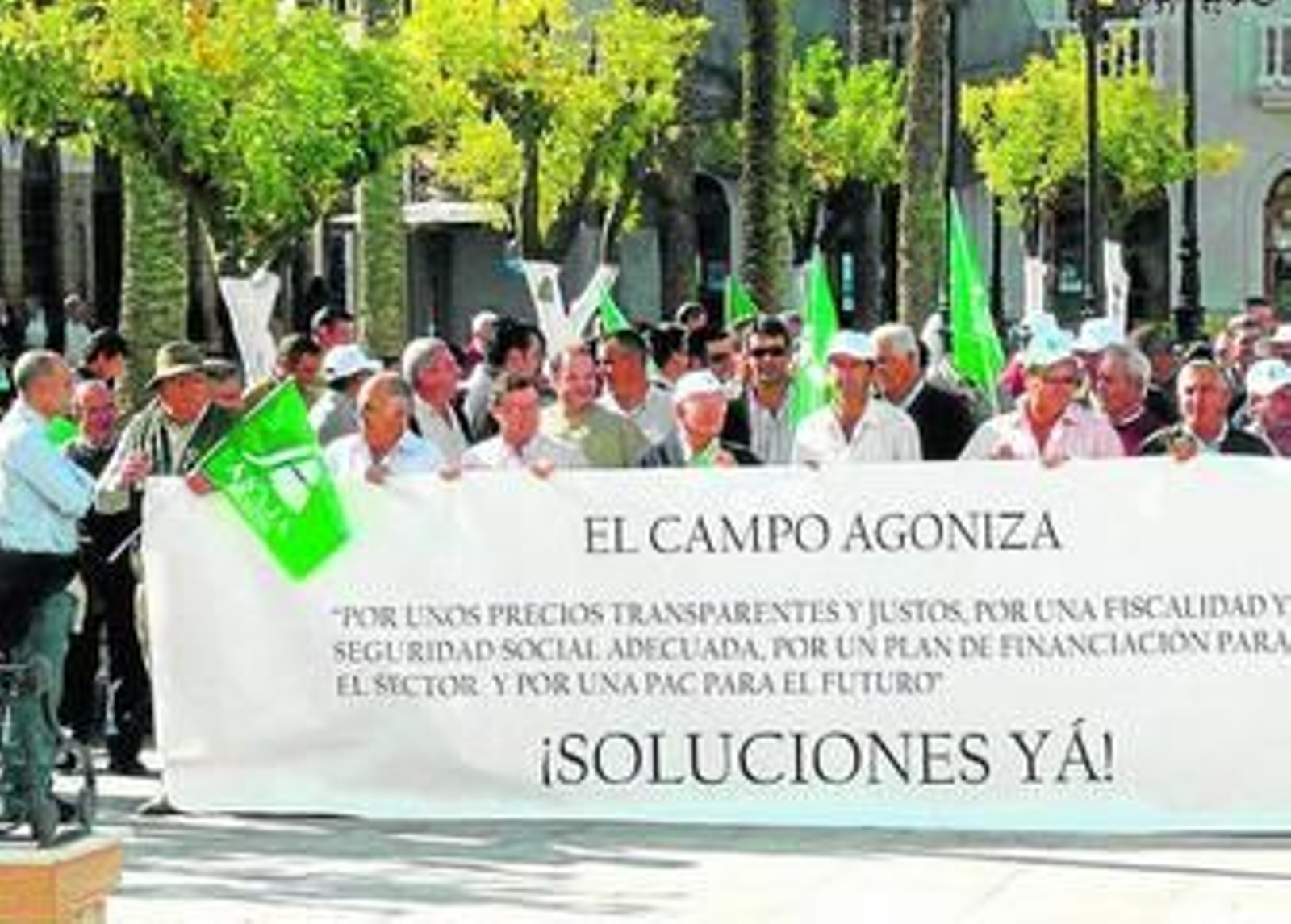 Concentración de agricultores en la Palma del Condado en 2009.