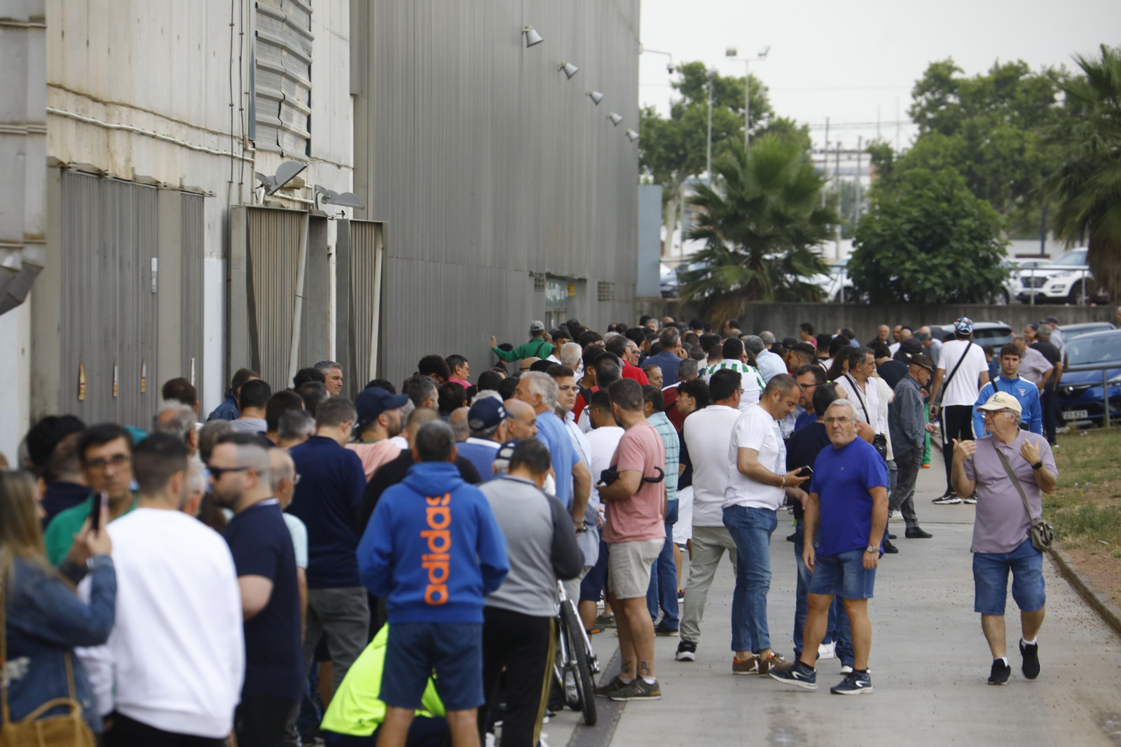 Las mejores fotos de las colas de El Arcángel para conseguir las entradas del Córdoba CF - Barcelona Atlétic Las mejores fotos de las colas de El Arcángel para conseguir las entradas del Córdoba CF - Barcelona Atlétic