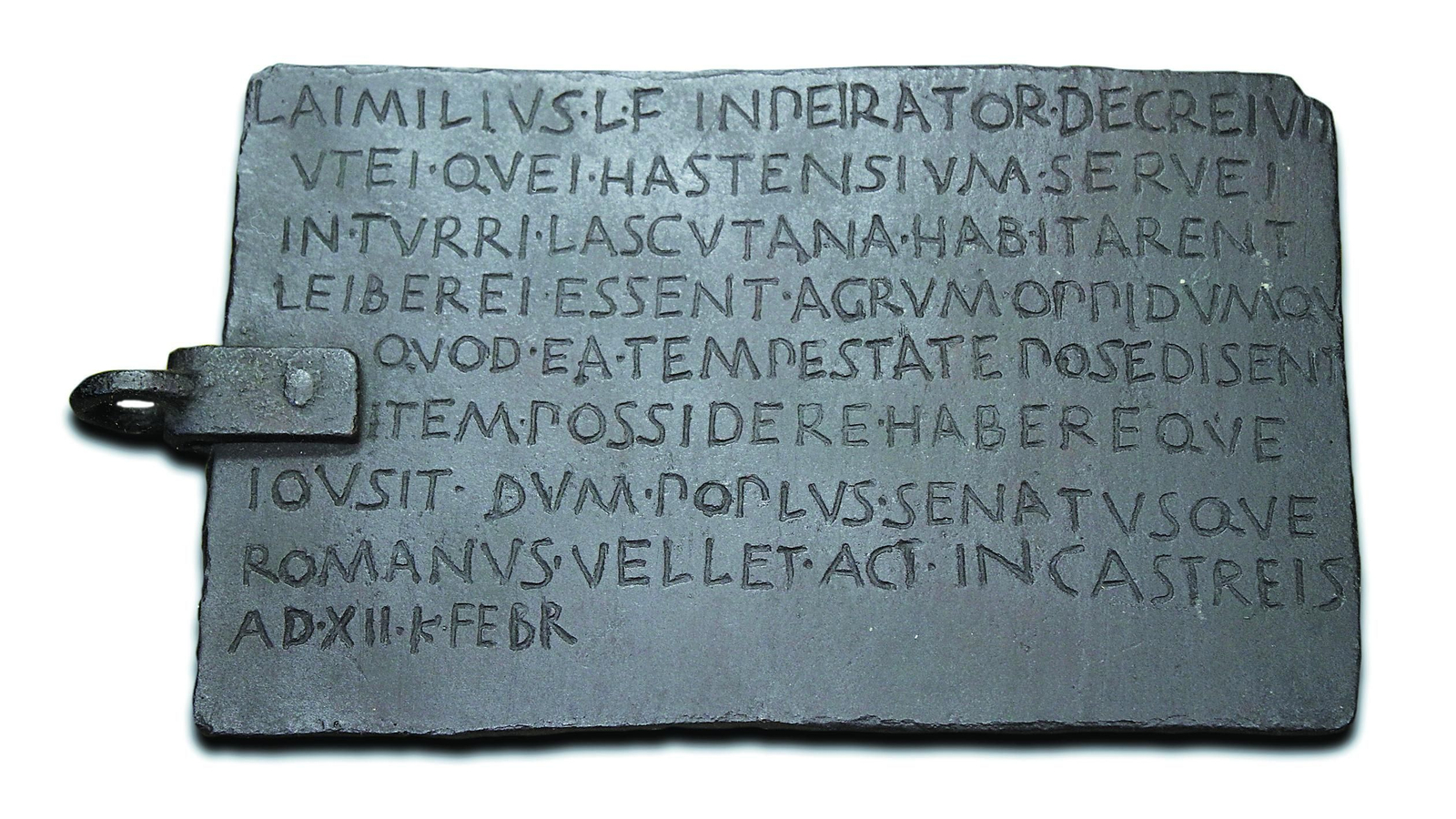 El salón de plenos del Ayuntamiento de Alcalá de los Gazules tiene una réplica del Bronce de Lascuta