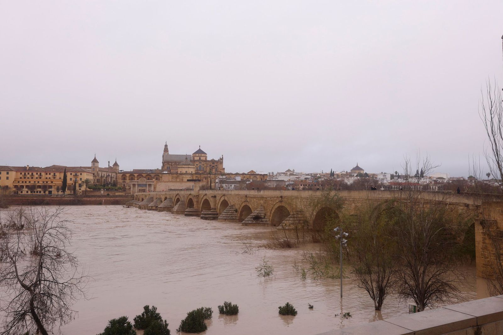 Así pasa el río Guadalquivir este lunes por Córdoba