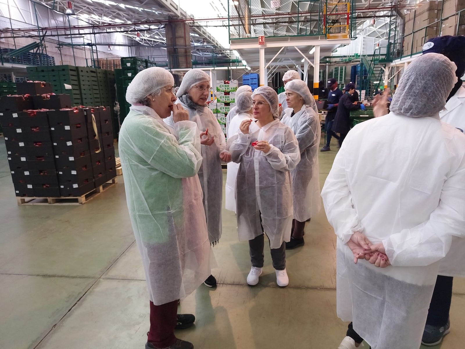 Eurosol abre sus puertas al conocimiento y al envejecimiento activo con 'Aula en Ruta'