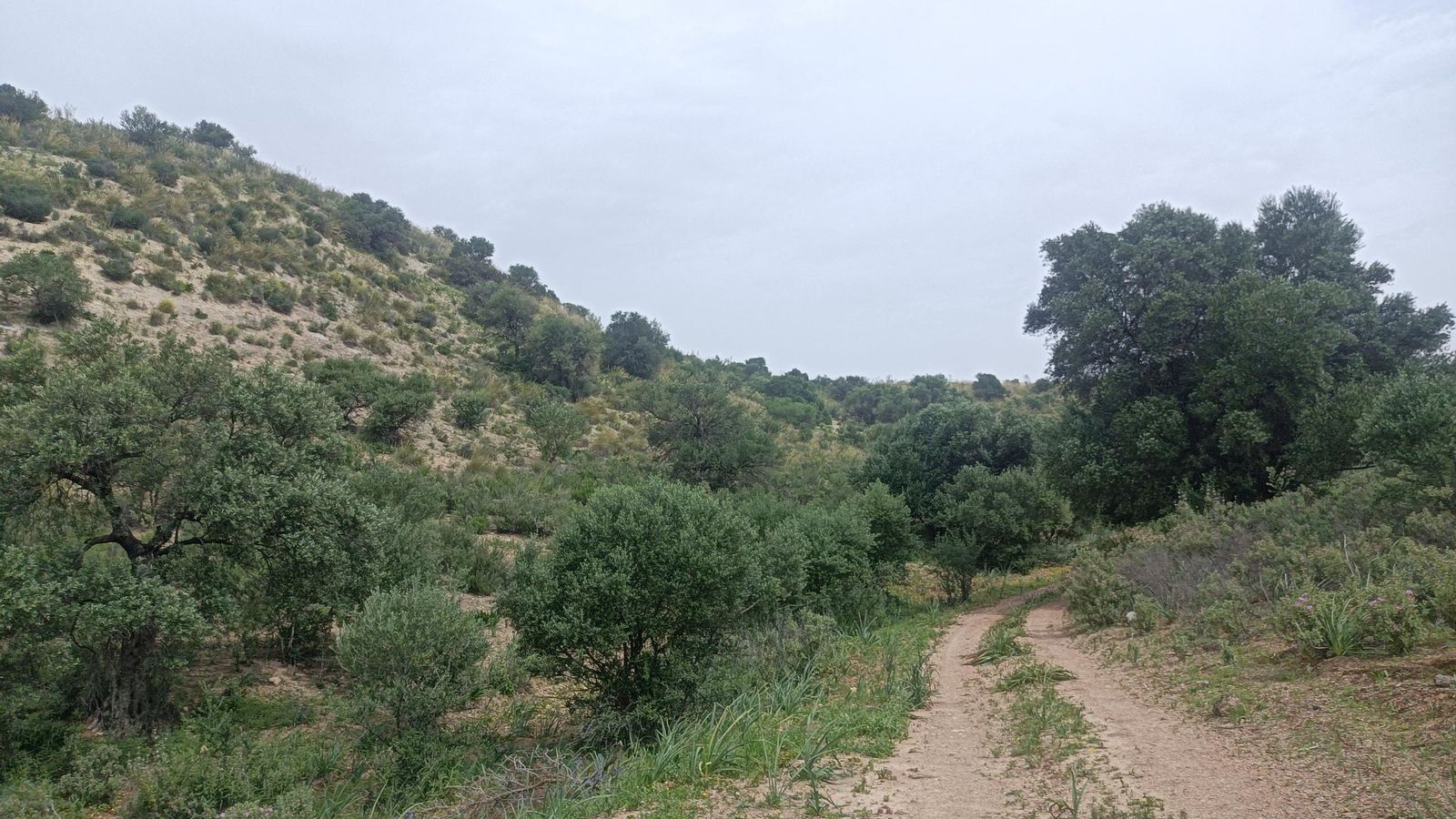 El camino se encajona entre dos lomas