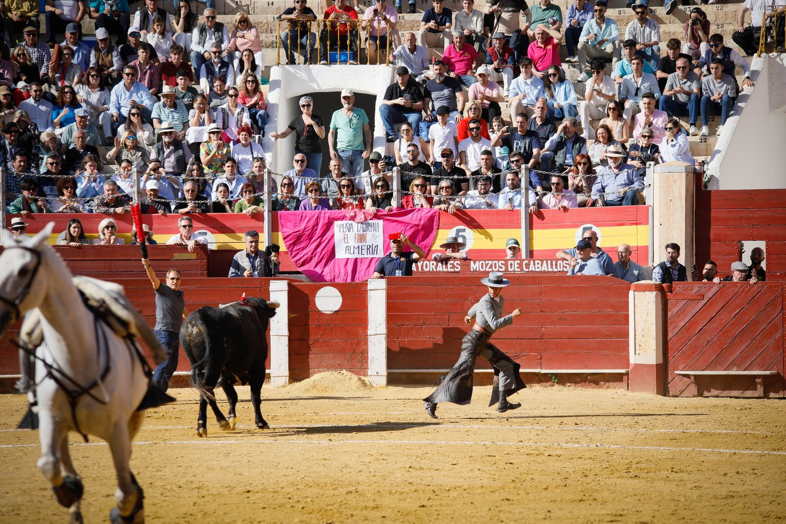 Imágenes del festival mixto lucha contra el cáncer