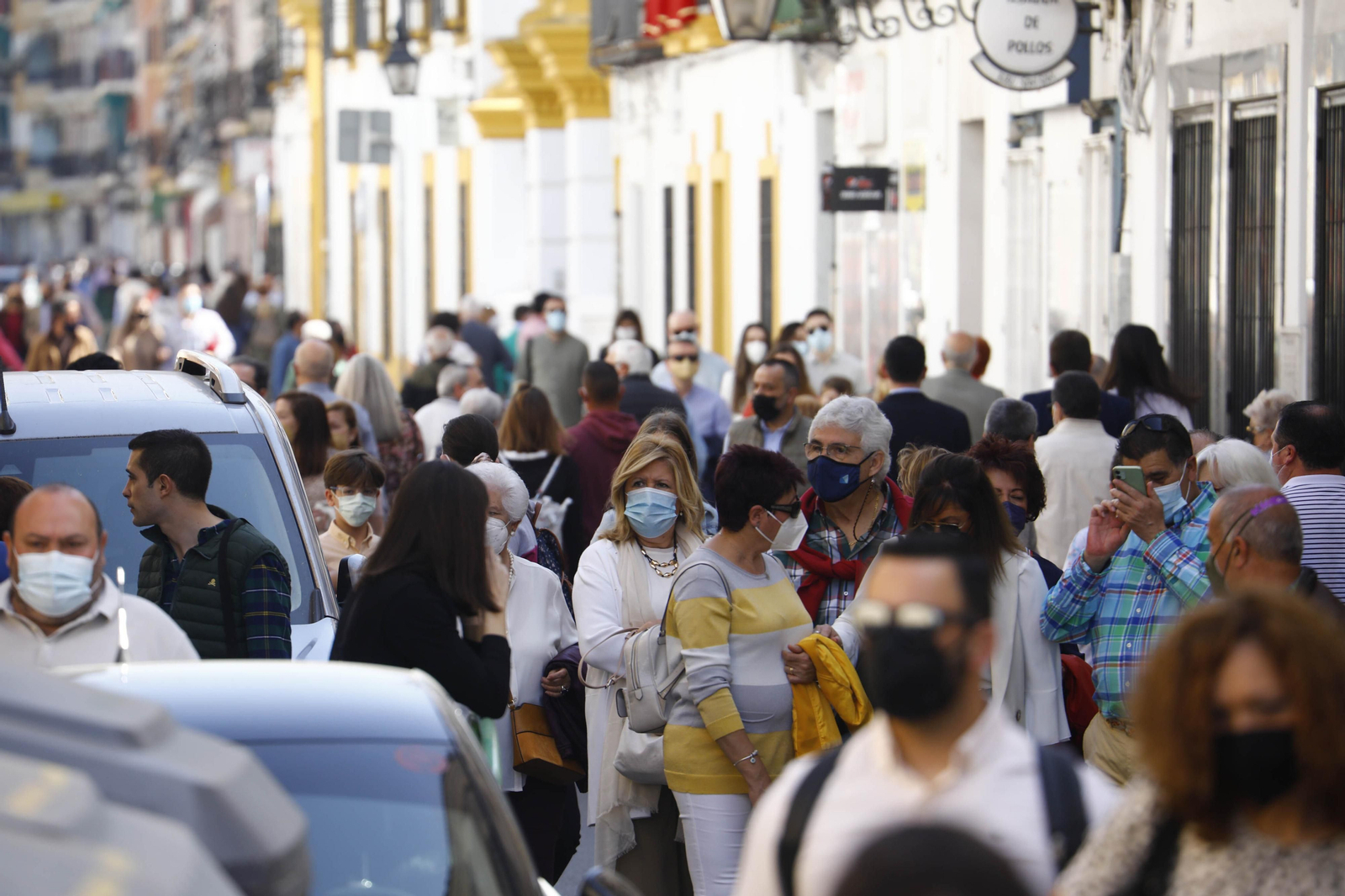 La hermandad de la Entrada Triunfal del Domingo de Ramos en Córdoba, en fotografías