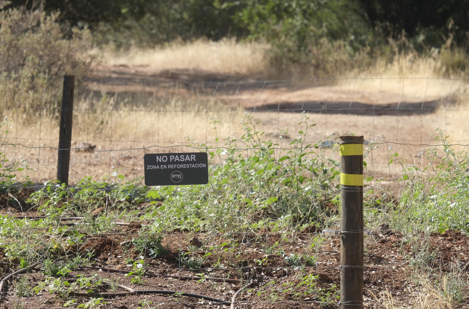 Así luce El Patriarca tras las obras para convertirlo en un parque periurbano