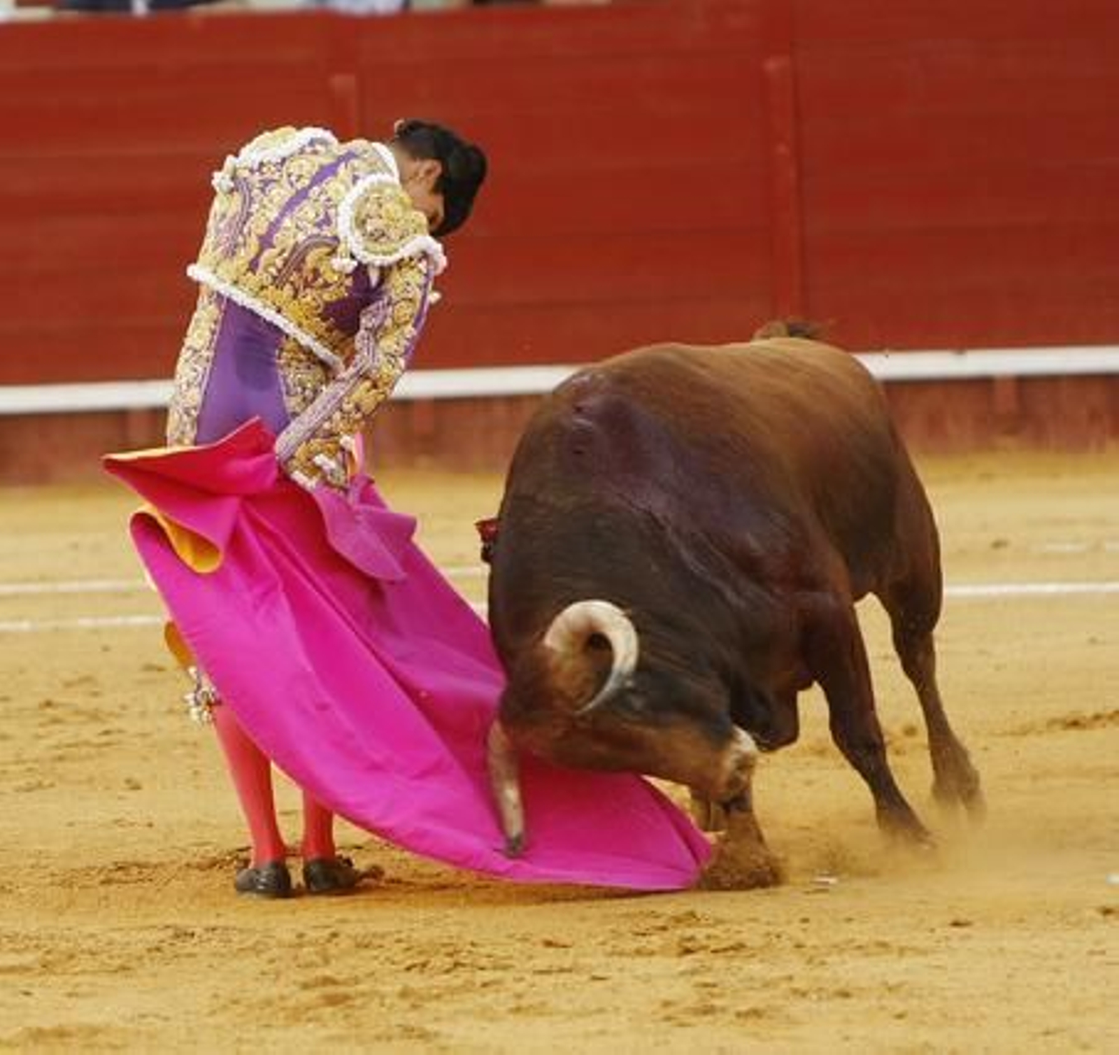 Foto: Juan Carlos Toro