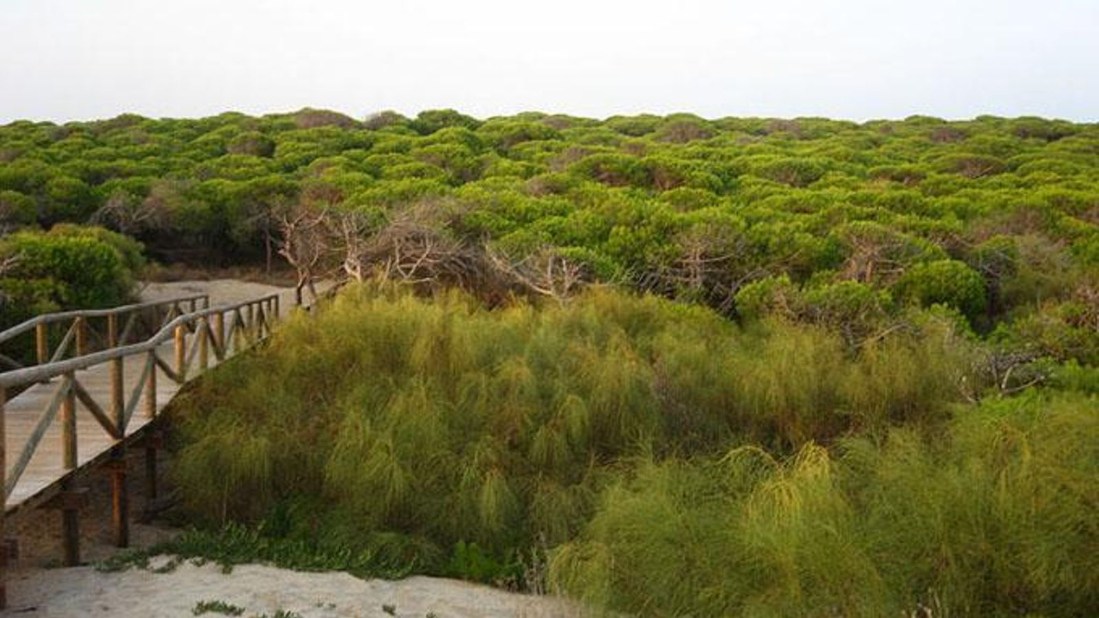 Acceso a la playa Punta Candor de Rota.