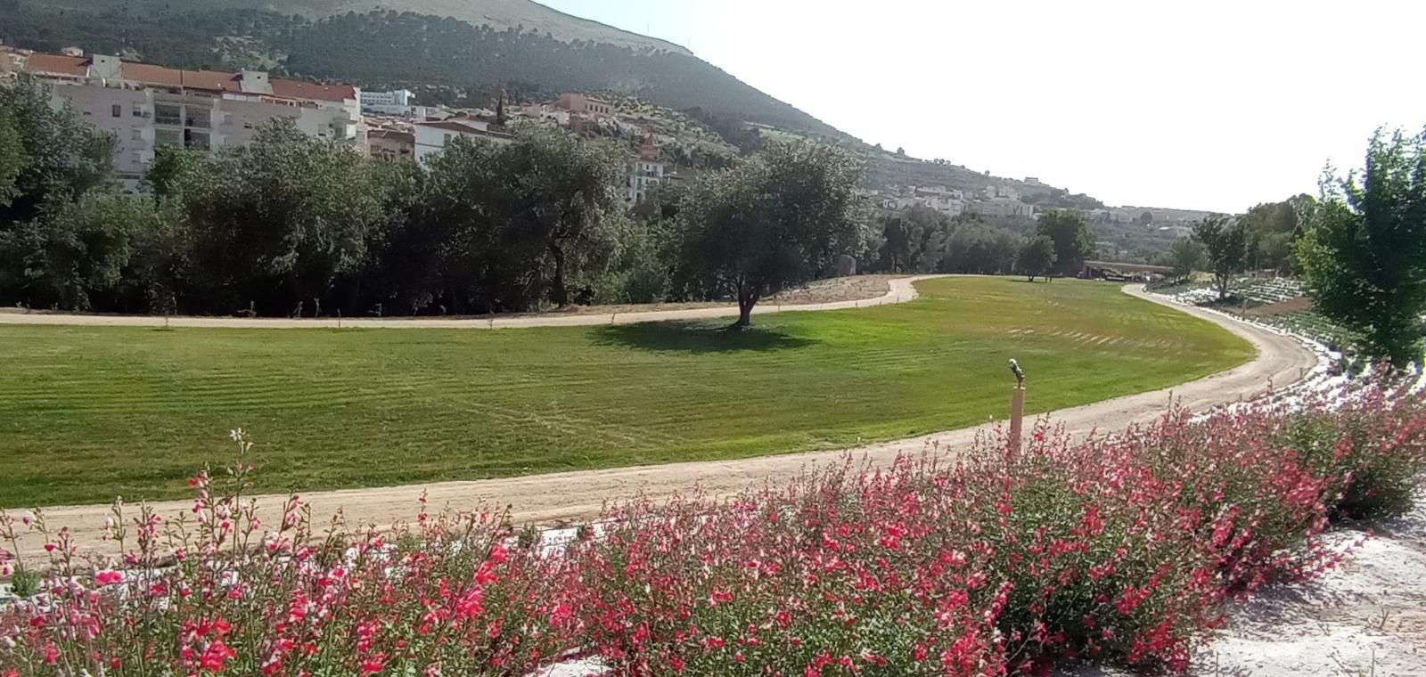 Aspecto de la zona de intervención en el entorno del río Genil