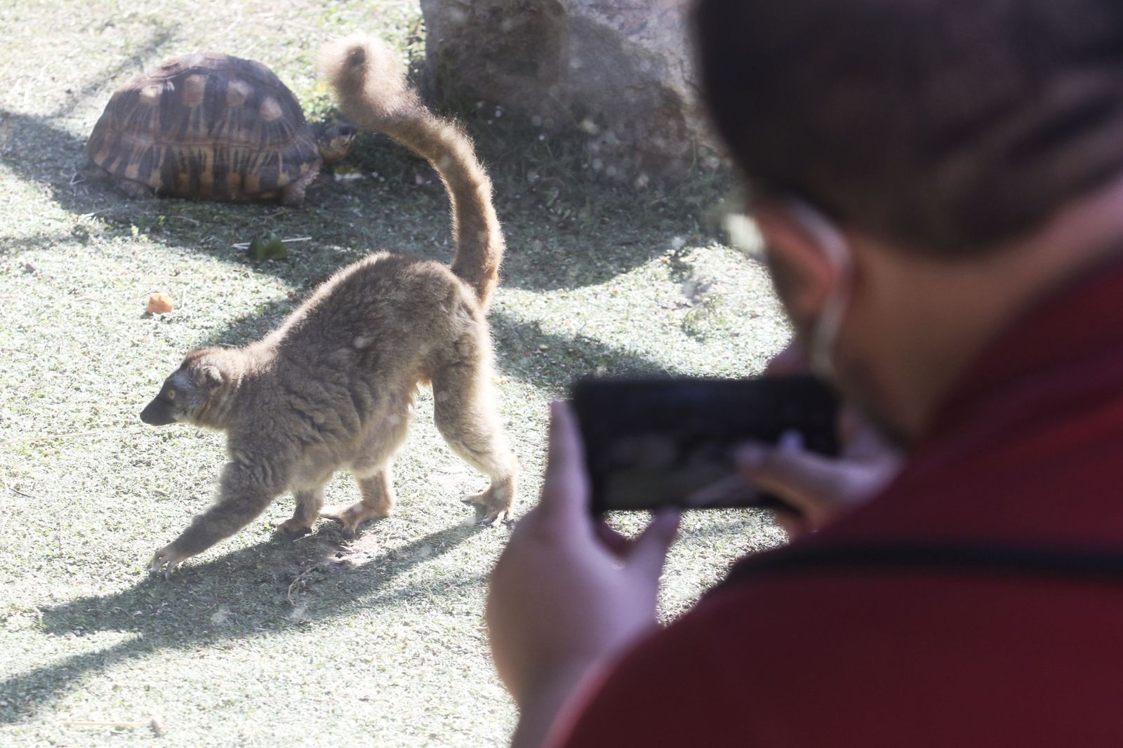 Las fotografías de la reapertura del Zoo de Córdoba tras el coronavirus