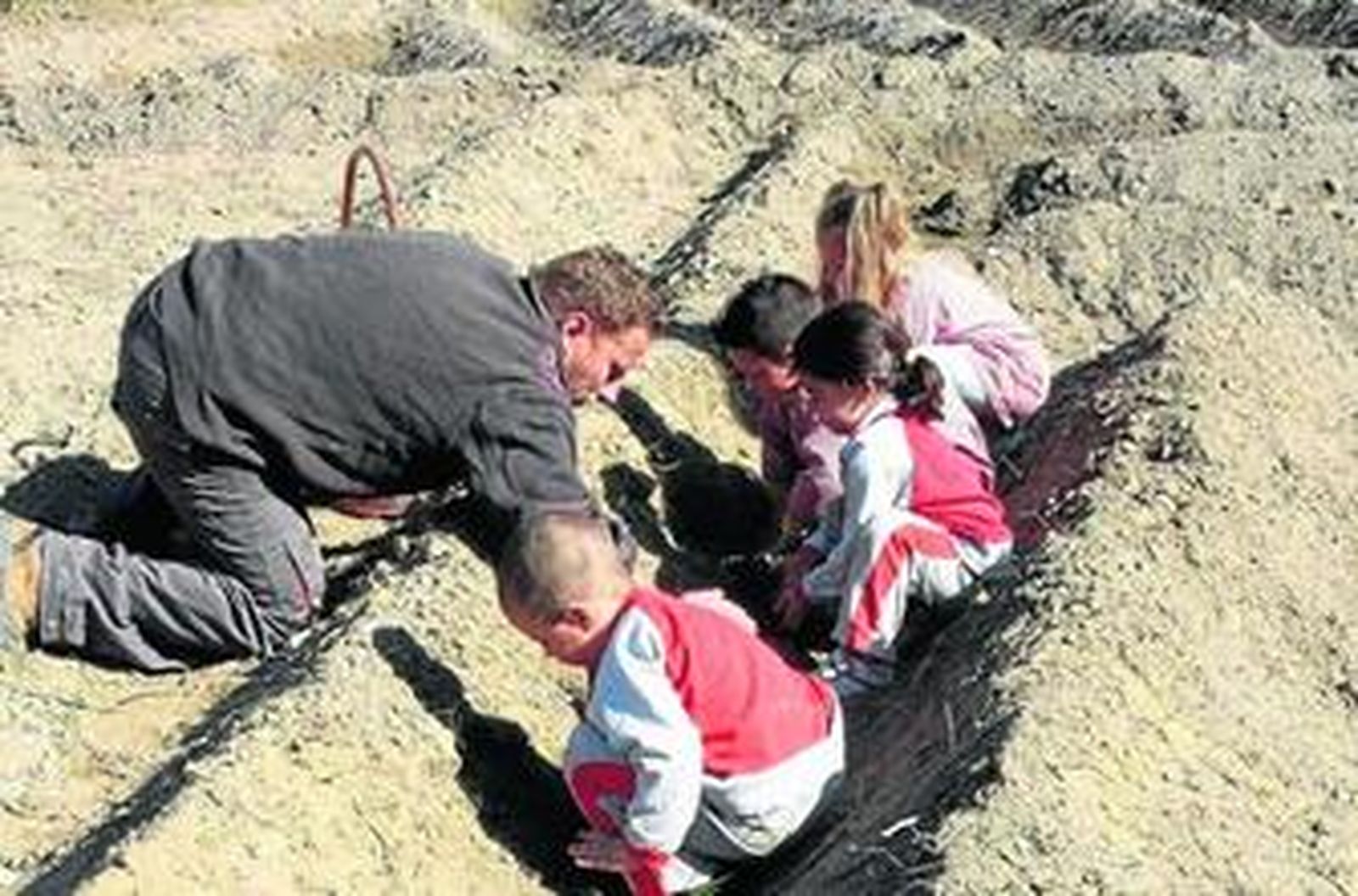 Miembros de la asociación ayudan a los escolares a plantar patatas.