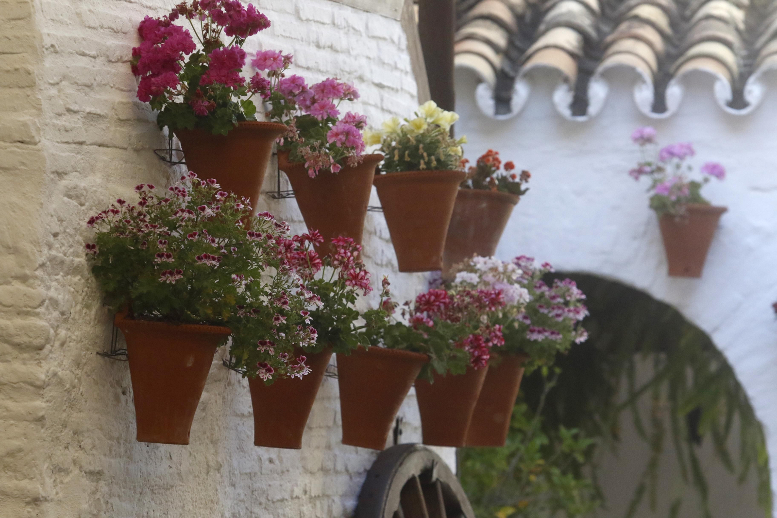 Ruta Judería - San Francisco de los Patios de Córdoba, en imágenes