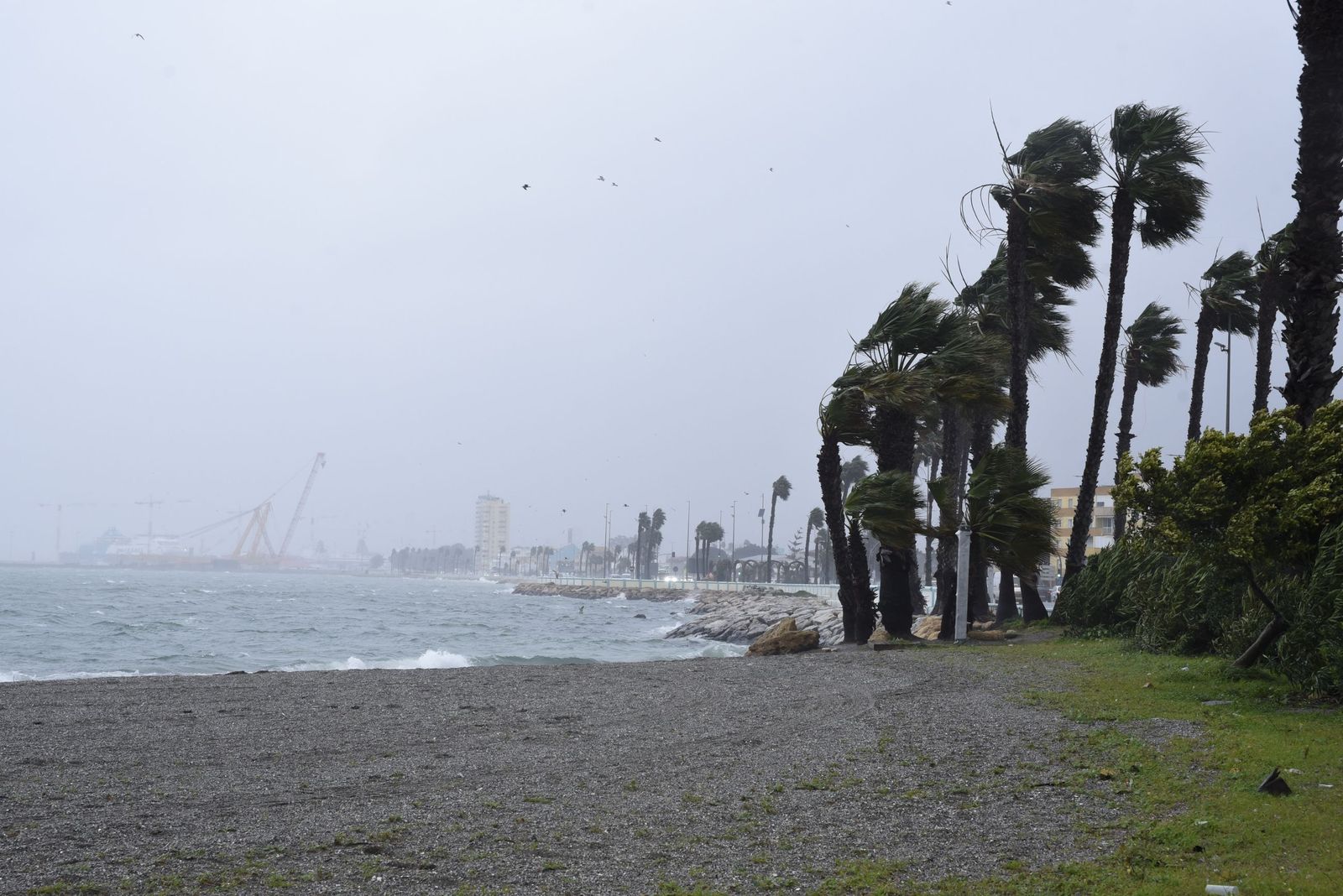 Joseph se deja ver en La Línea: imágenes del temporal desde la costa