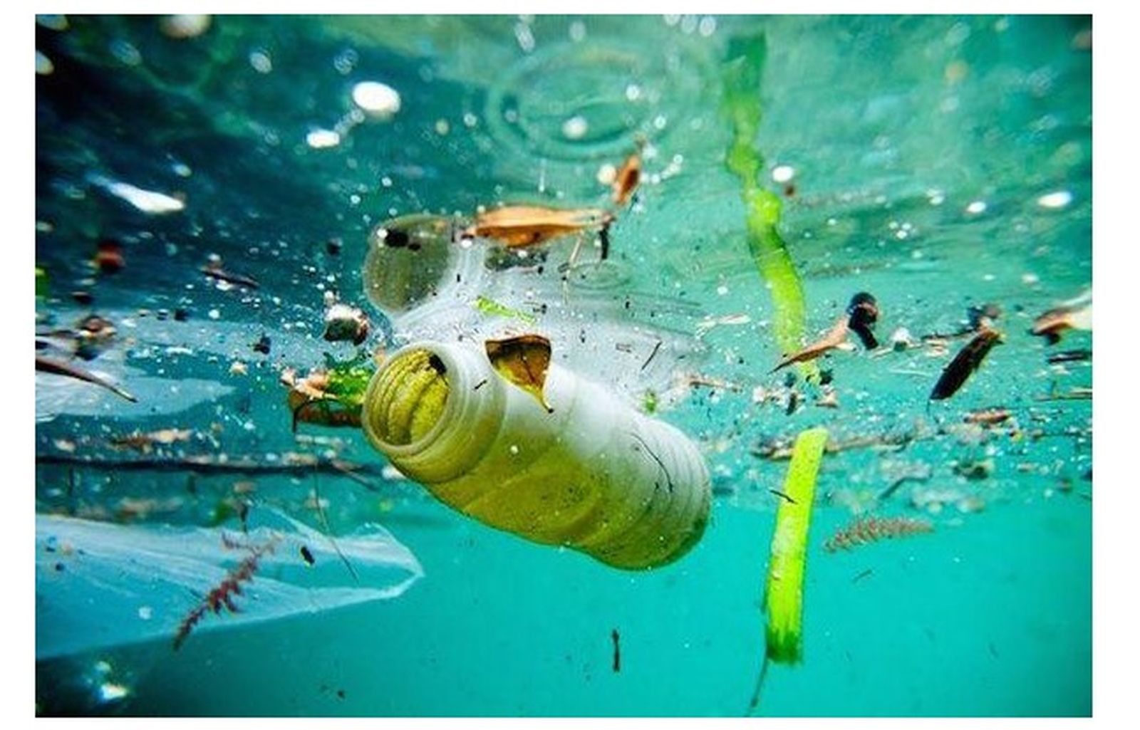 Contaminación marina con plasticos.