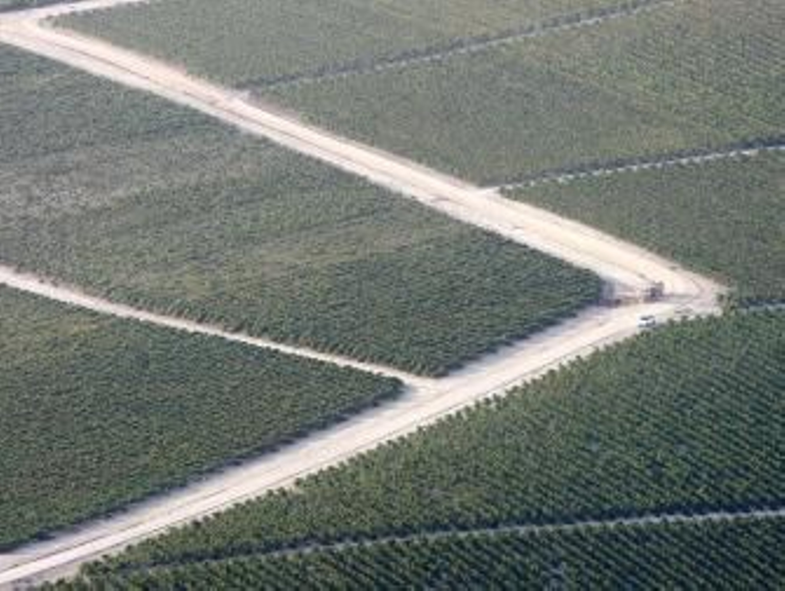 El Marco se queda sin destilación de crisis