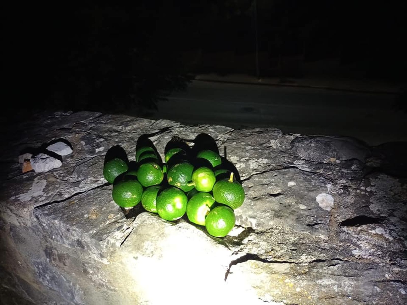 Algunos de los objetos decomisados por la Policía Local tras ser arrojados a los vehículos en marcha.