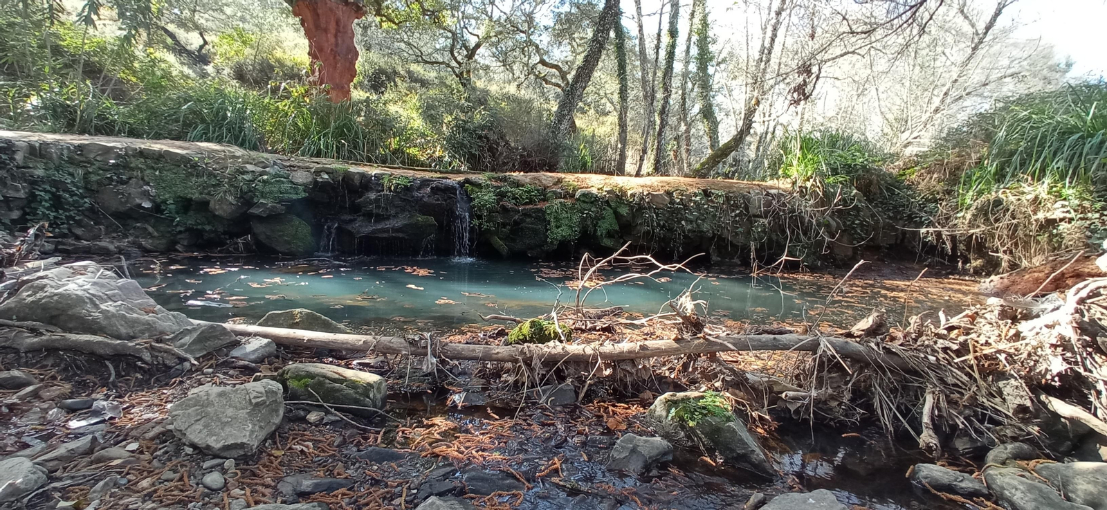 Las imágenes de la ruta de la cascada de Jollarancos y bosque de las letras