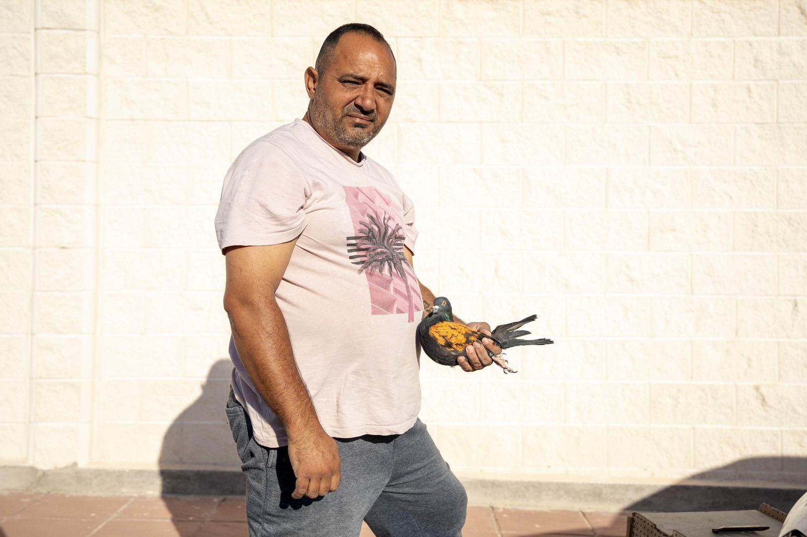 Las mejores imágenes de la suelta de palomos en la Feria de Albox