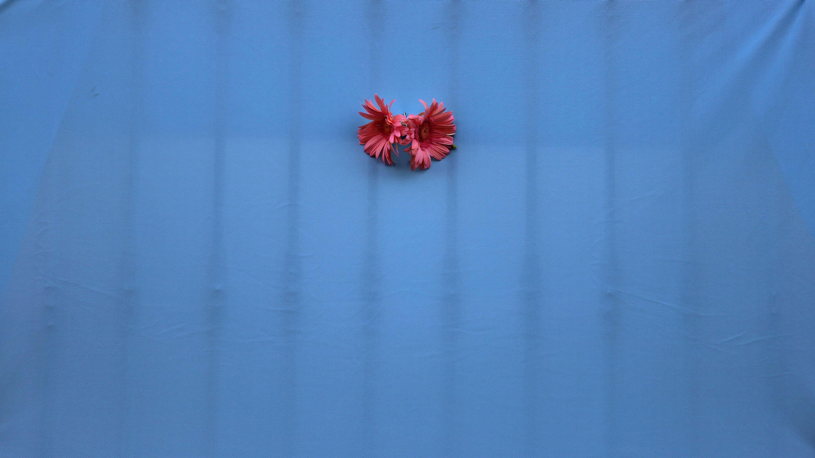 Fotos del Rosario de la Aurora de la Patrona de Los Barrios