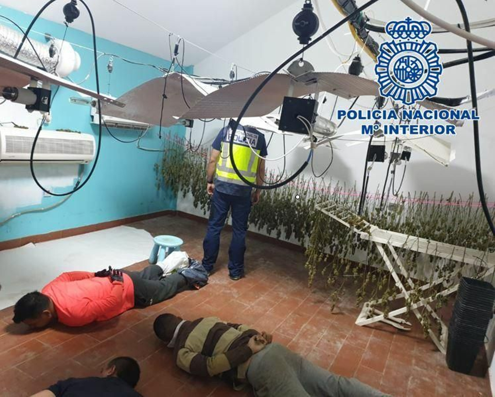 Varios de los detenidos tras descubrirse la plantación de marihuana en Dílar.