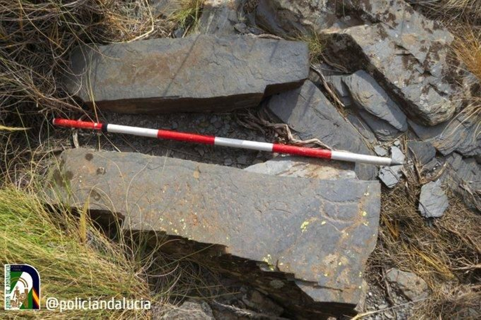 Piedras localizadas por la Policía Adscrita.