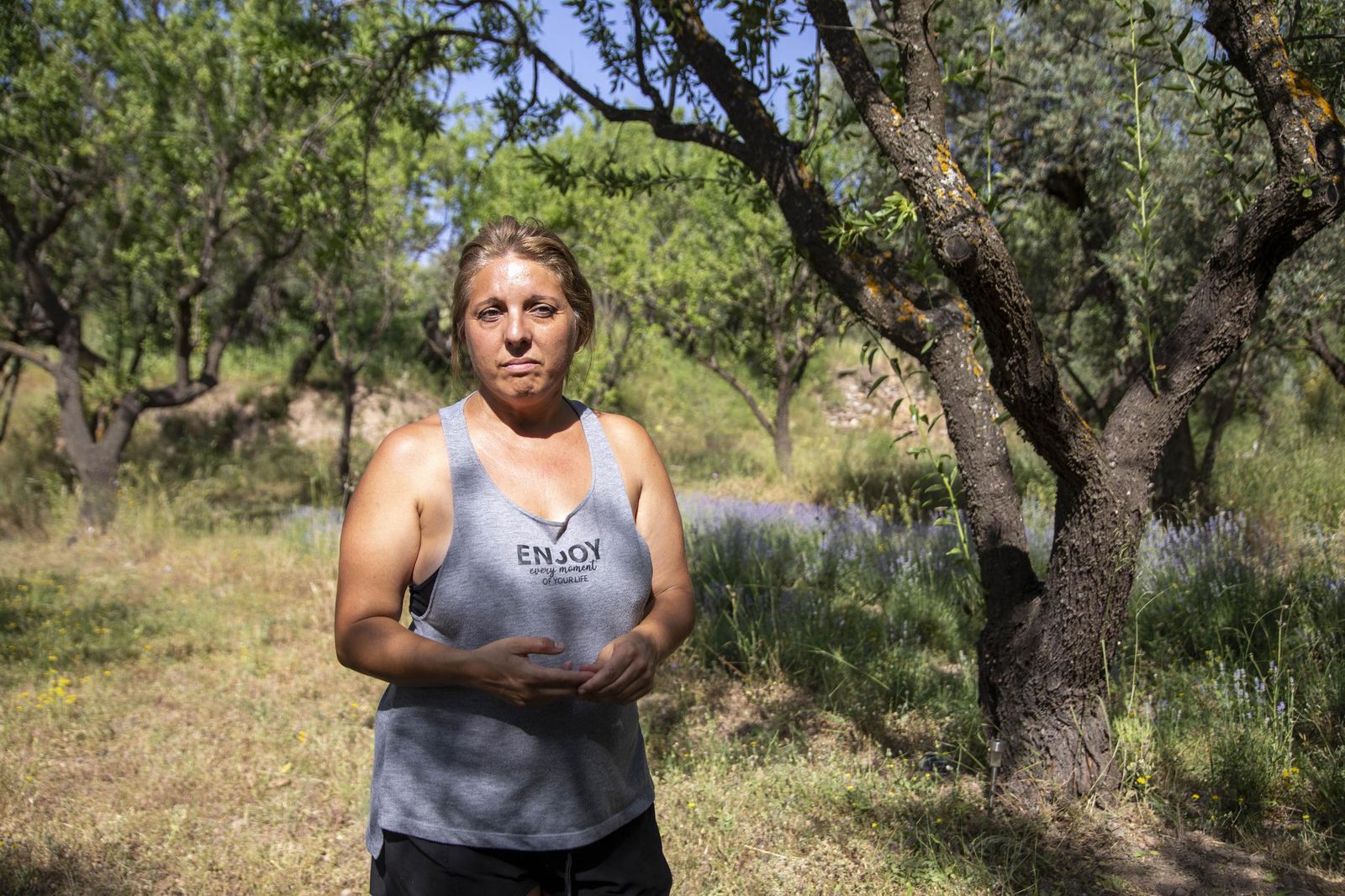 El jardin de lavandas en Benecid