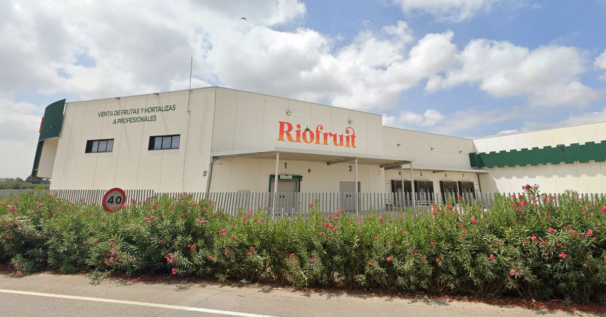 El fondo francés Log In desembarca en Andalucía con la compra de la plataforma logística de Riofruit en Sevilla