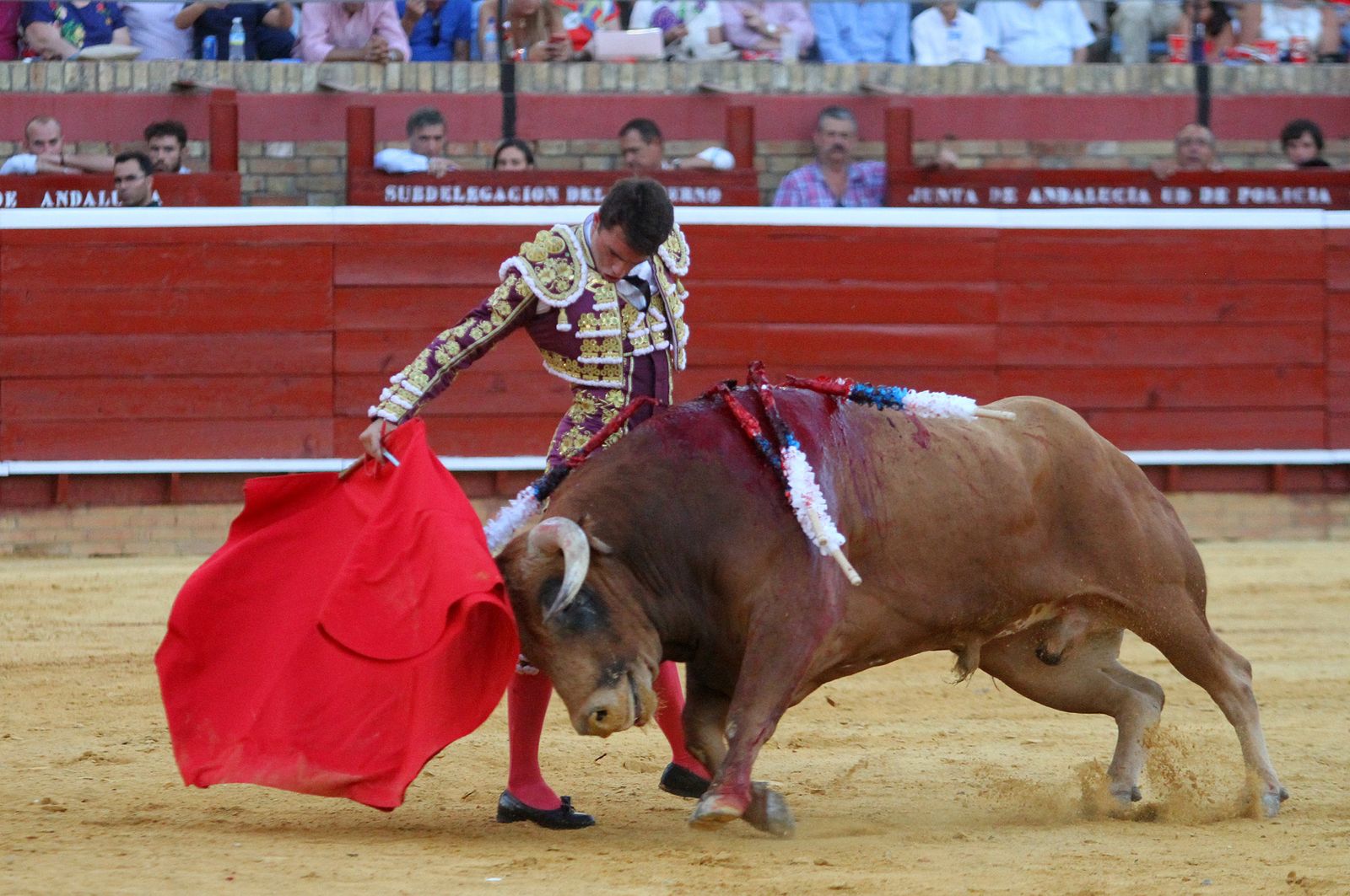 Imágenes de la Novillada de Rafael Serna, Emilio Silvera y Rodrigo Molina.
