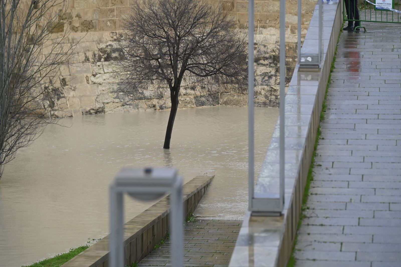 El río Guadalquivir supera los cuatro metros de altura a su paso por Córdoba, en imágenes