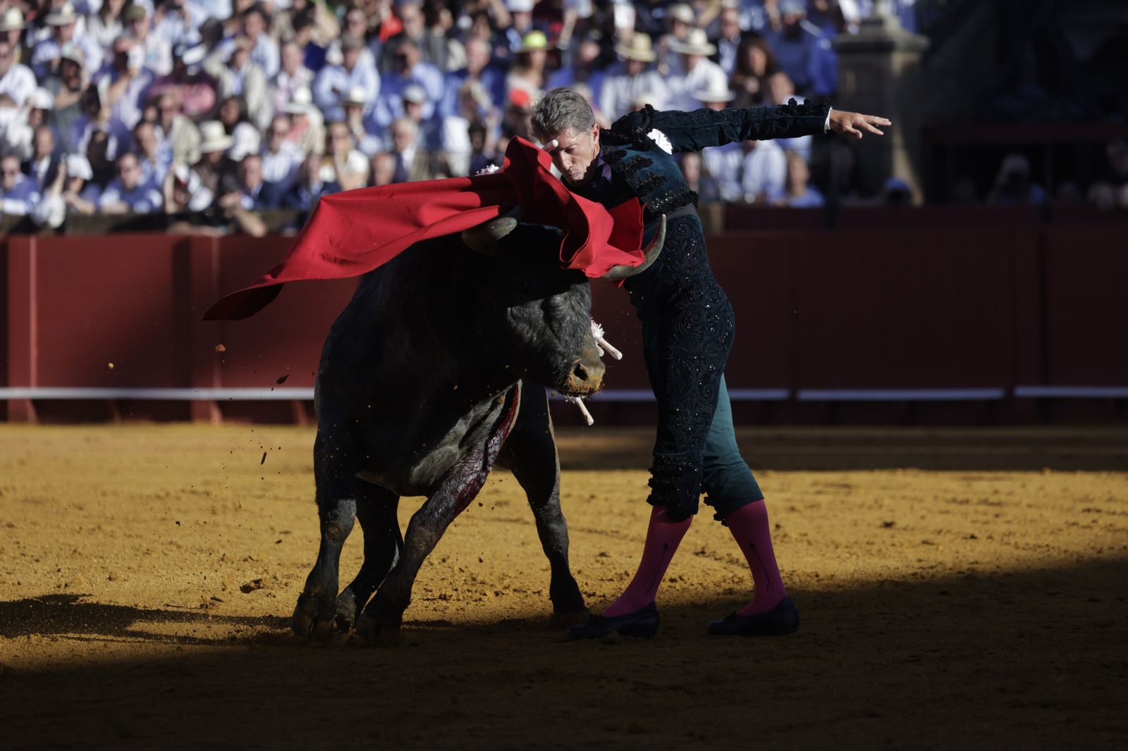 Las imágenes de la corrida de los Victorinos en la Maestranza de Sevilla