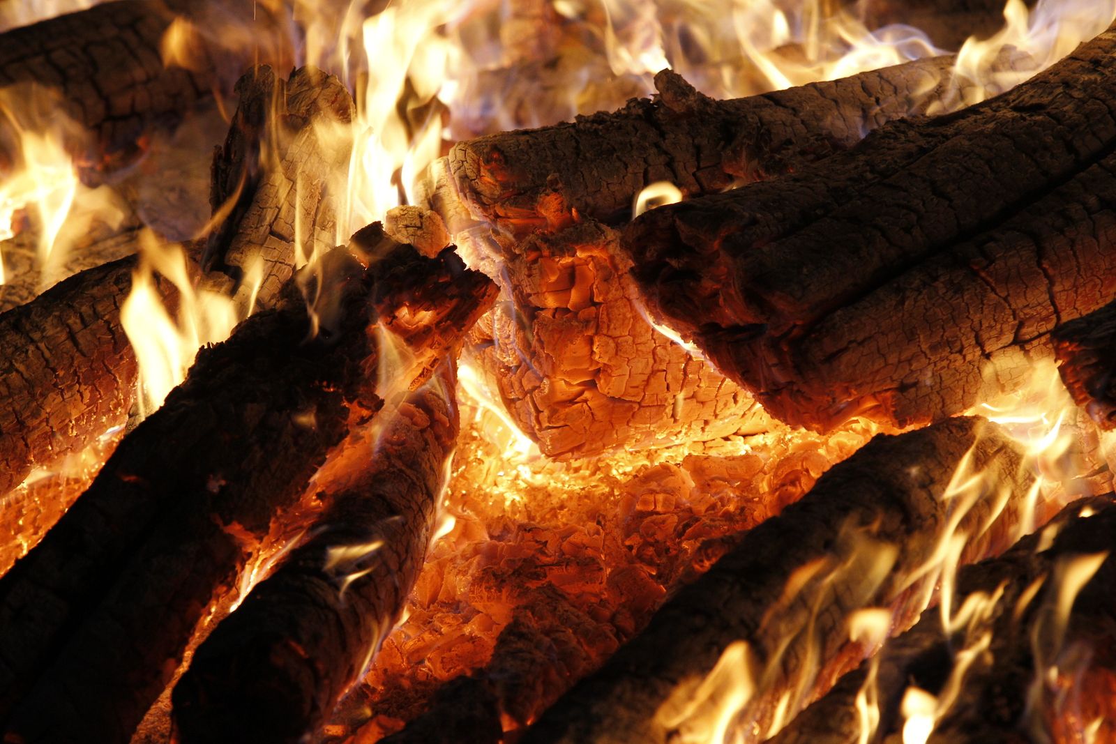 Las imágenes de las fiestas en Fondón