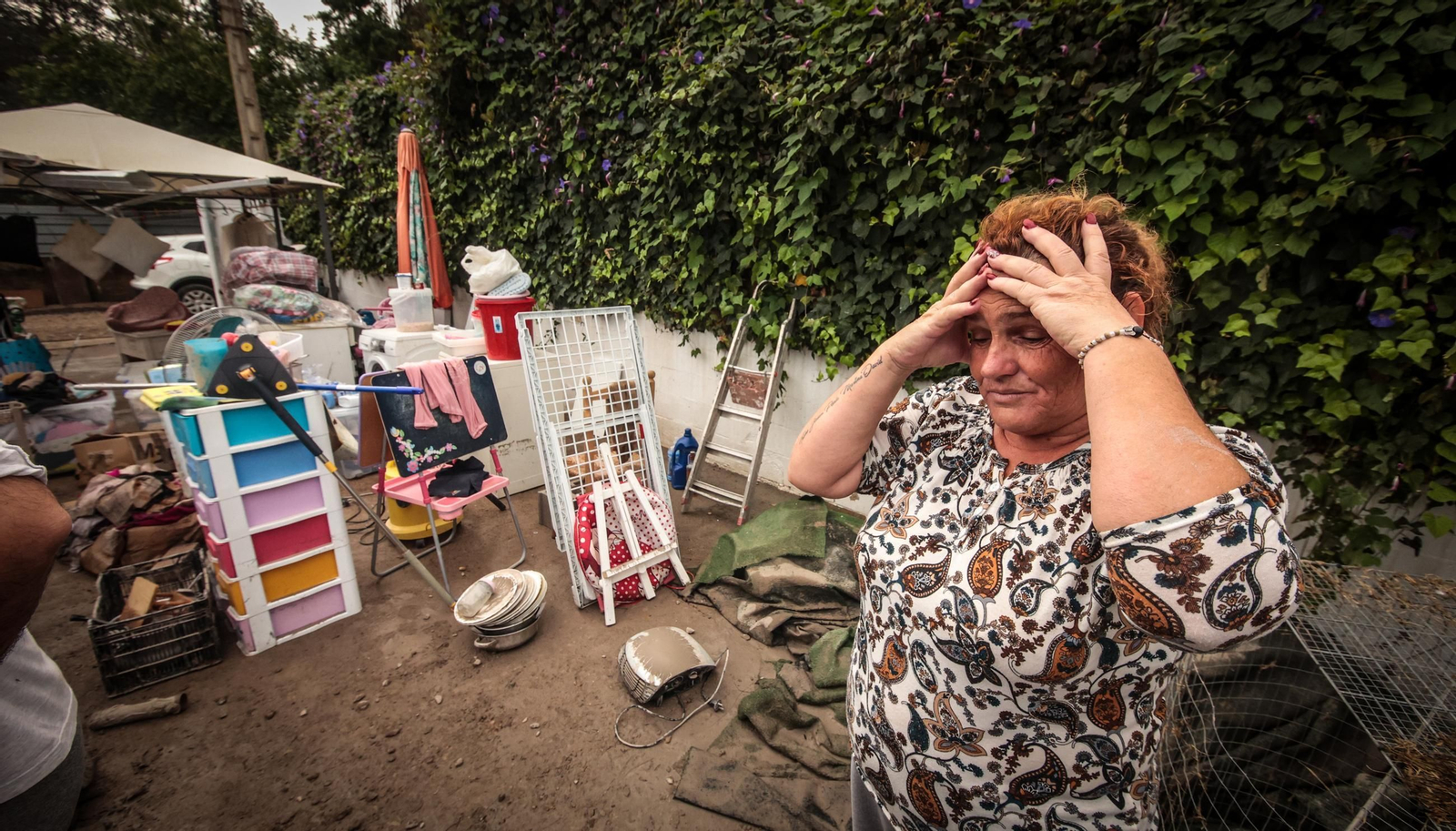 Imágenes de los destrozos tras el paso de la Dana por la campiña de Jerez