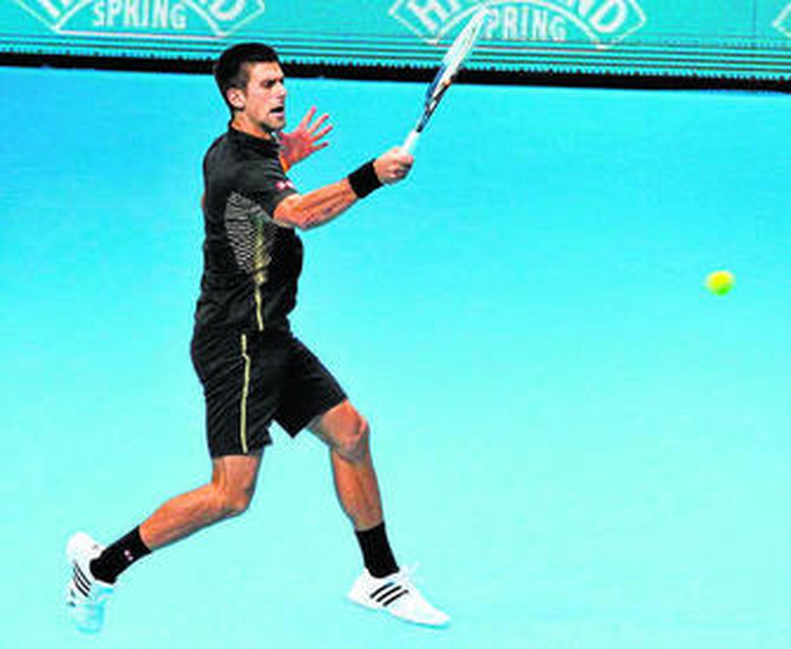 El momento de David Ferrer