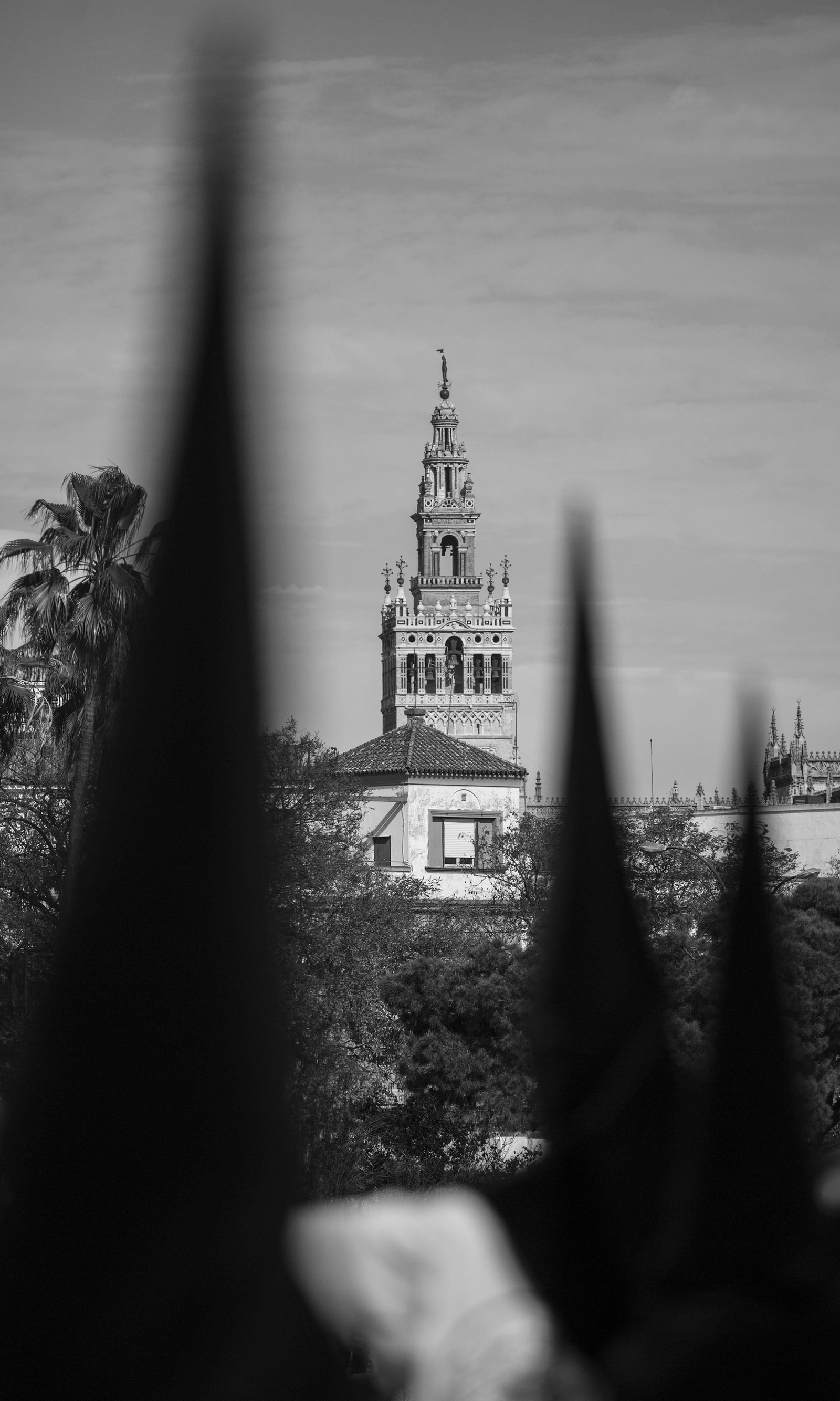 La Hermandad de la Estrella en blanco y negro