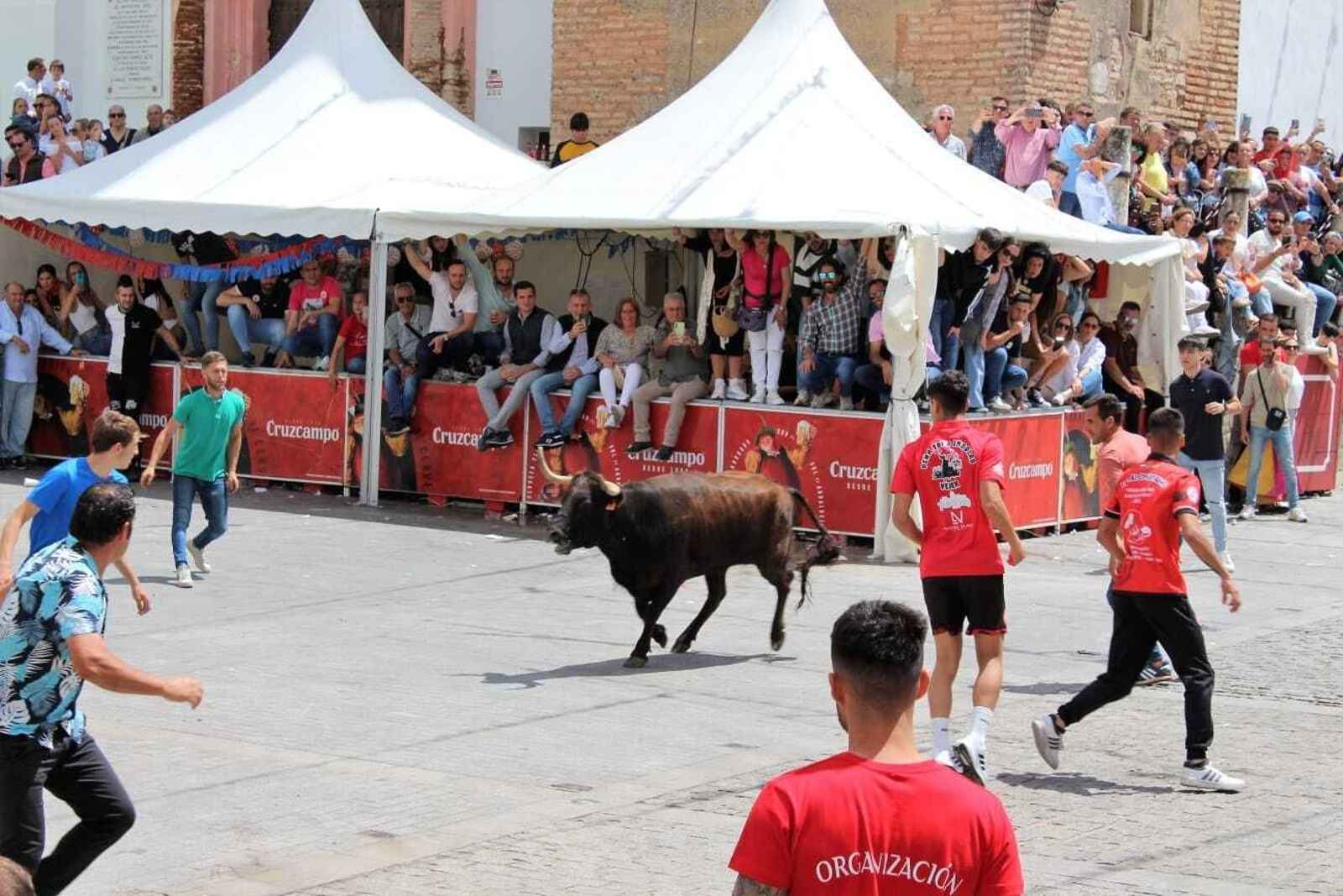 Festividad de San Jorge, patrón de Alcalá de los Gazules