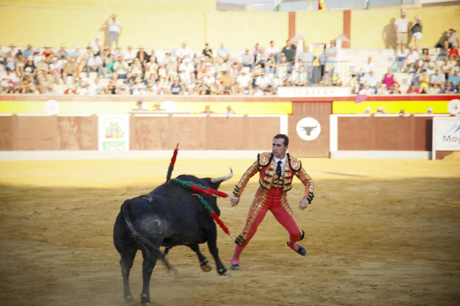 Corrida de toros Berja con un toro indultado, en imágenes