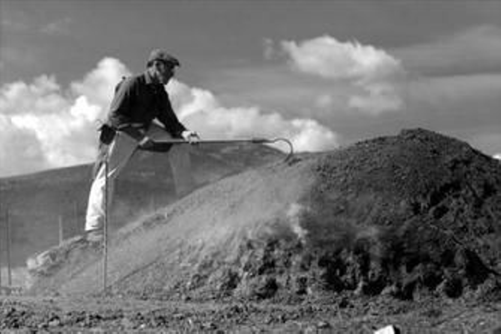 El octogenario carbonero Francisco Ortega, en una imagen tomada por Alfonso Pecino y elegida para el libro.
