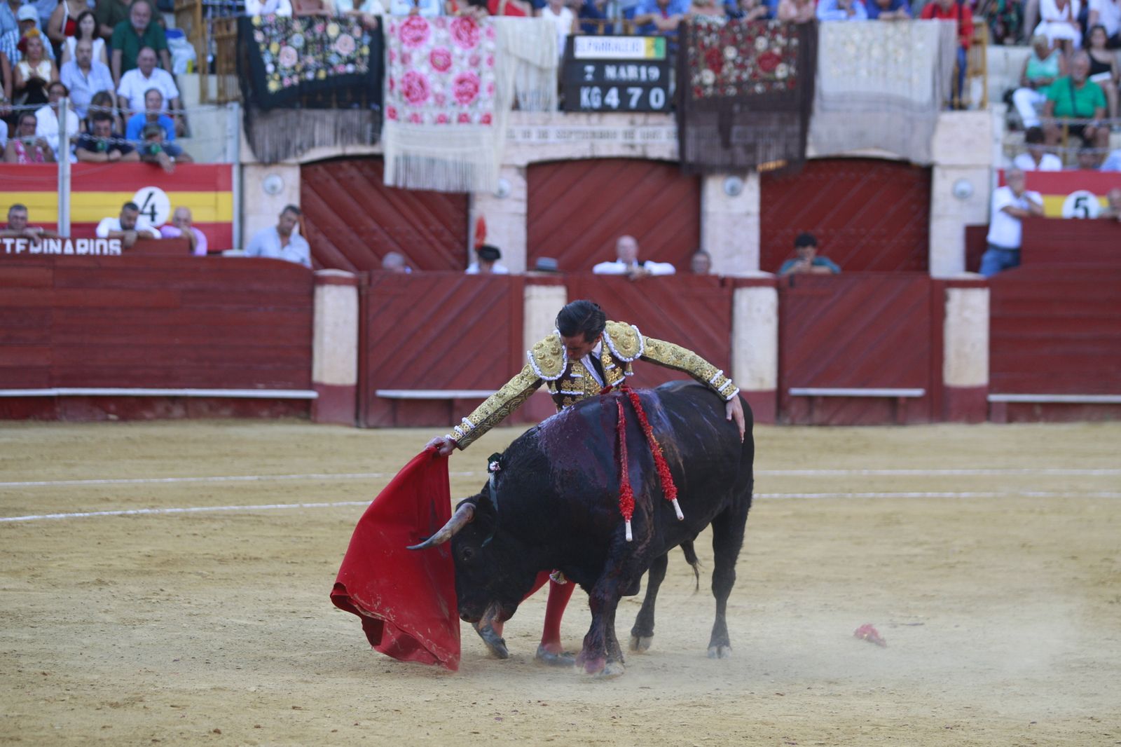 Imágenes del triunfo del torero almeriense Jorge Martínez el día de su alternativa