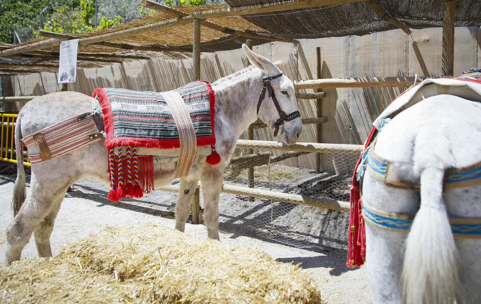 Imágenes de "Canteros y Caciques en la lucha por el Mármol" de Macael
